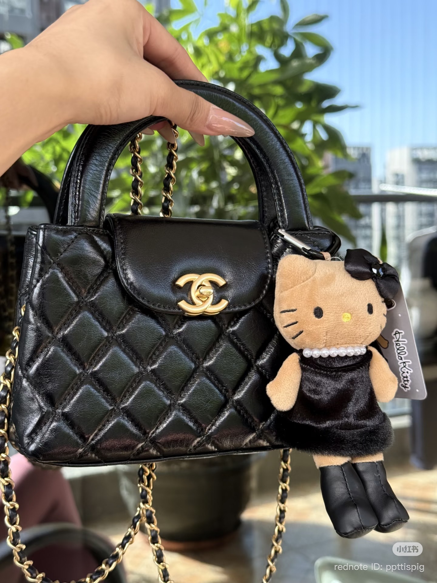 image_F274091C-9EA1-4B8B-8C67-C4FEF7C13659_1767599178