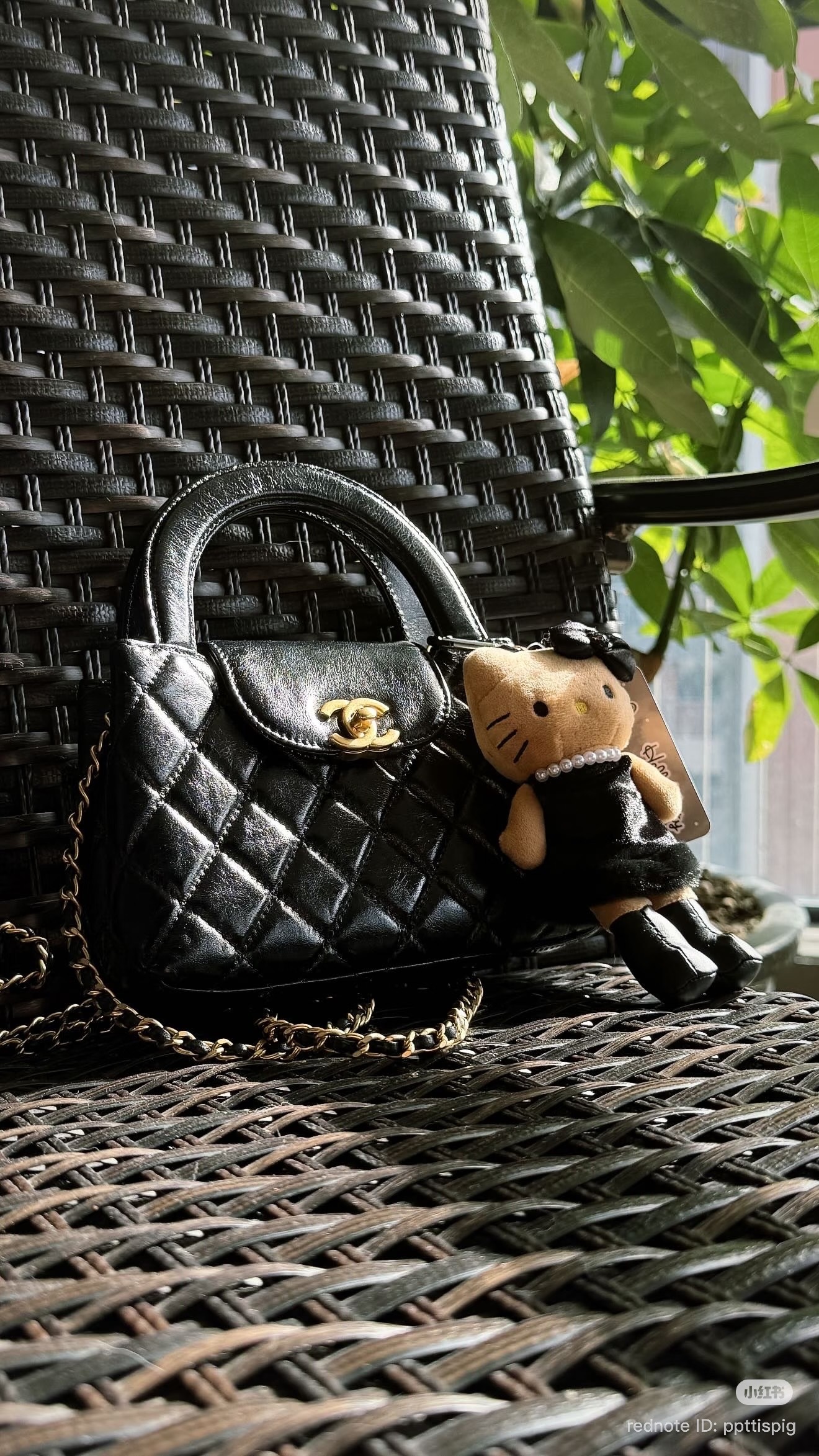 image_AC73B272-75B9-40E9-B502-64C365557499_1767599178