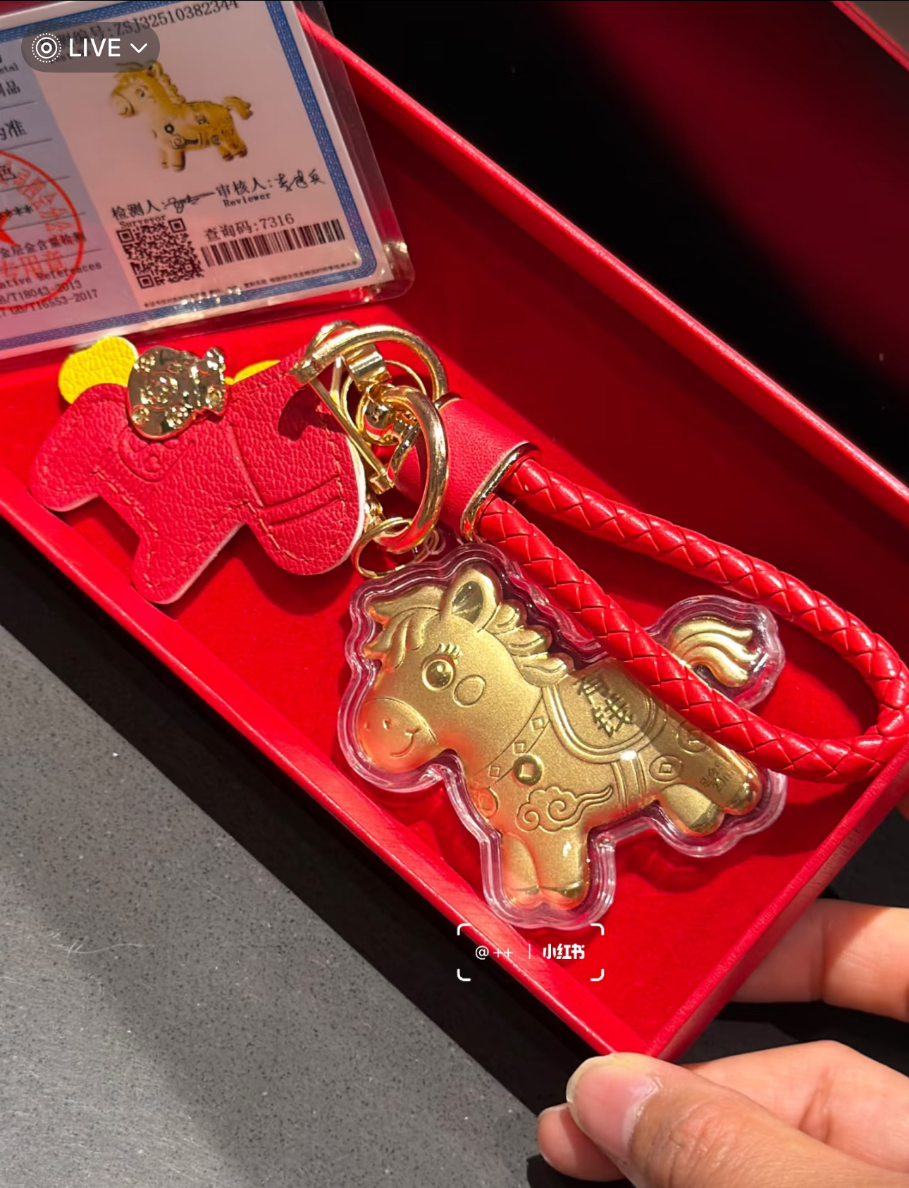 image_5CD07C8B-57ED-4B50-9D20-7BFBE9A3C5EB_1767952833