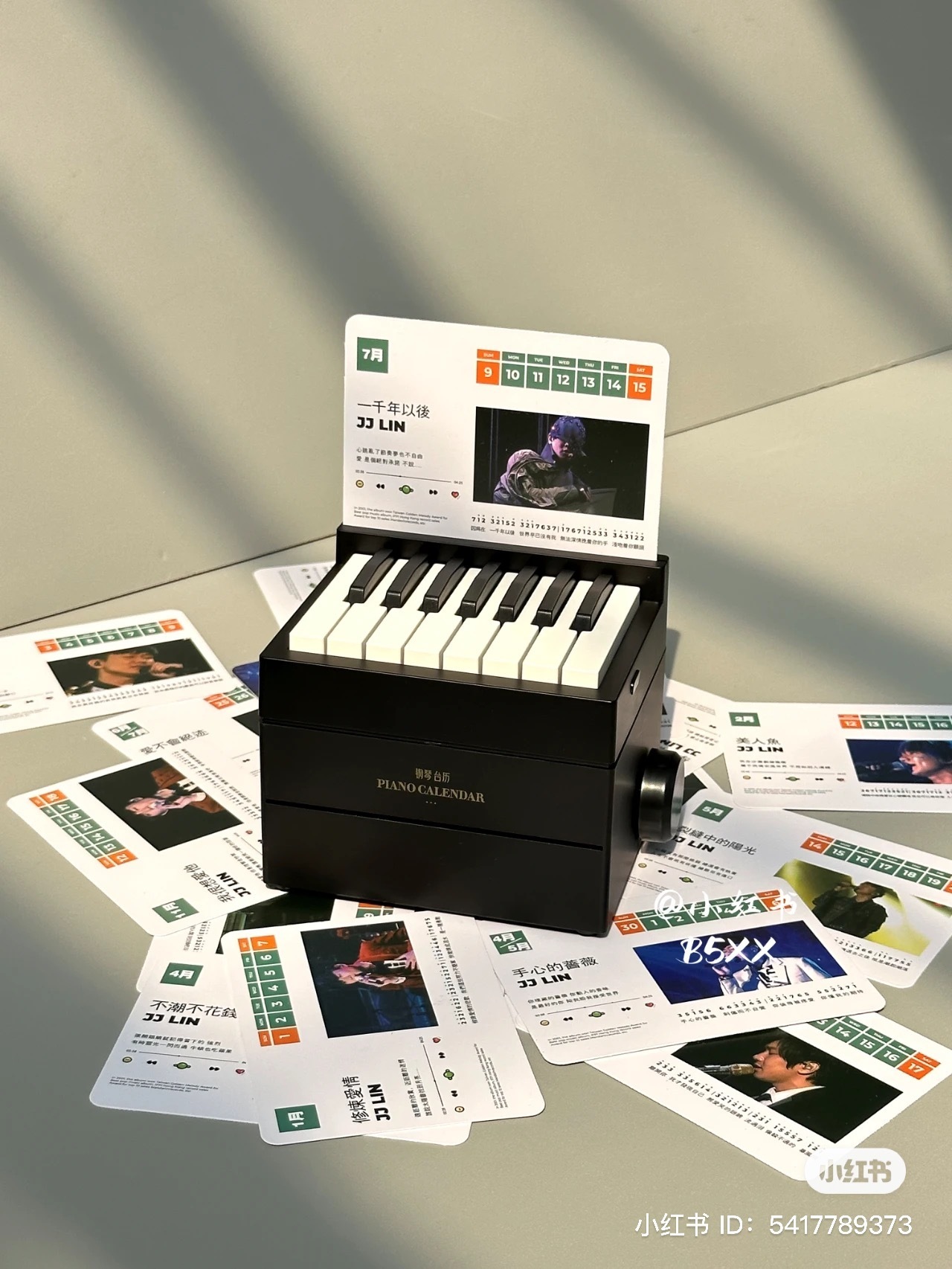 IMG_8504-1734350541832