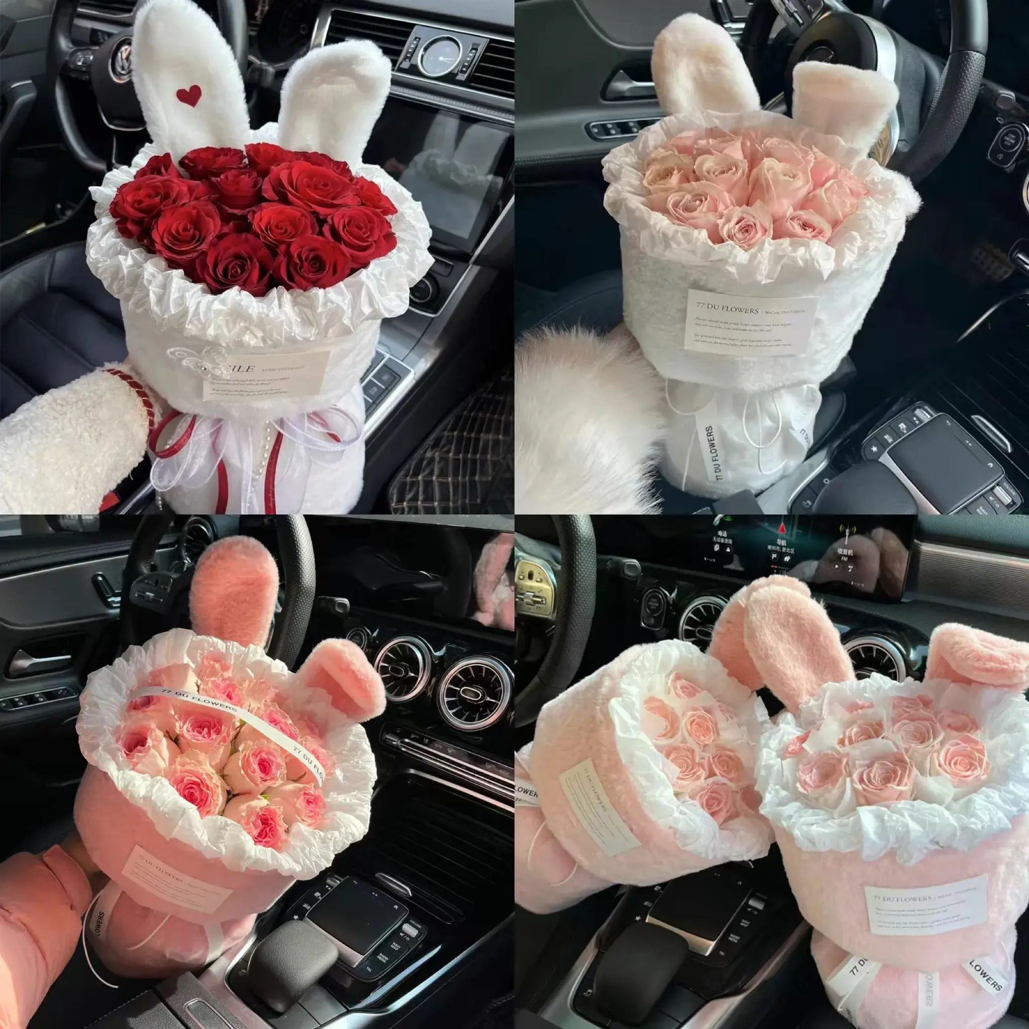 image_6230F4D6-7FFC-40A4-A035-CC3D0124E878_1746004444