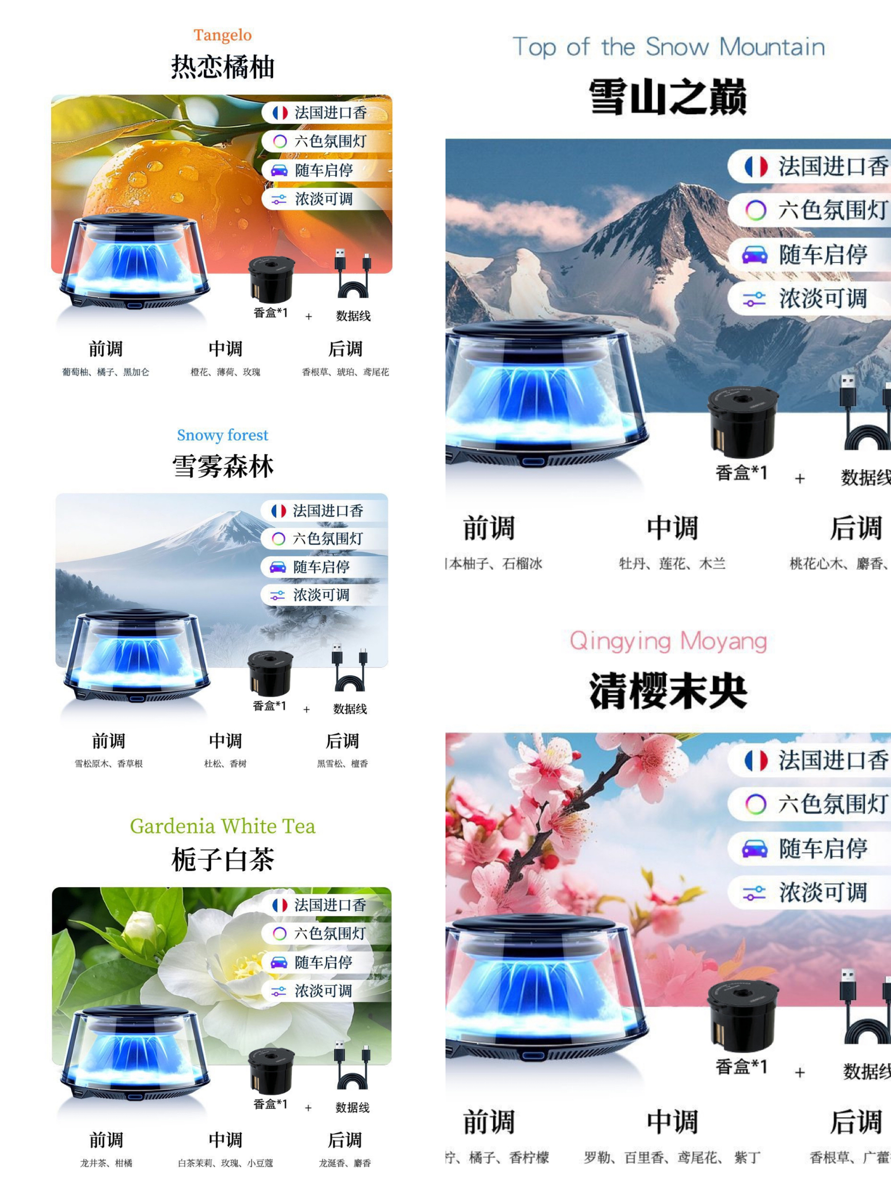 image_E2A05F1F-ADB2-4091-A3B0-8D6470EA67EB_1769508216