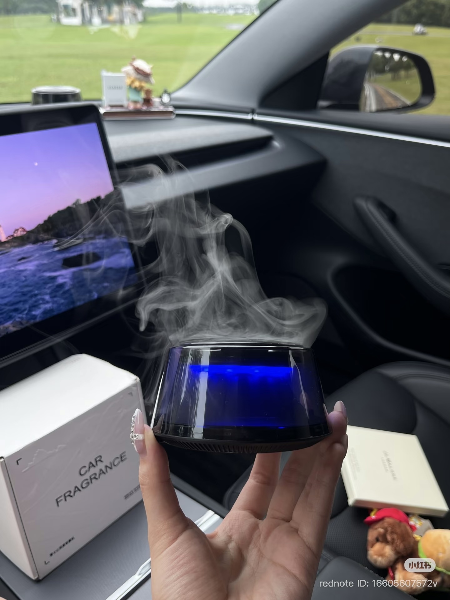 image_54F09FD9-0609-4665-BE47-9AFD26DDB2D5_1769508325