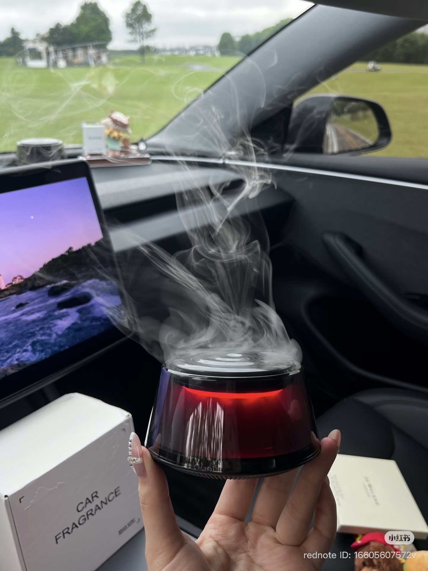 image_0B6DBB16-8671-49F7-815E-350314F37AA2_1769508325