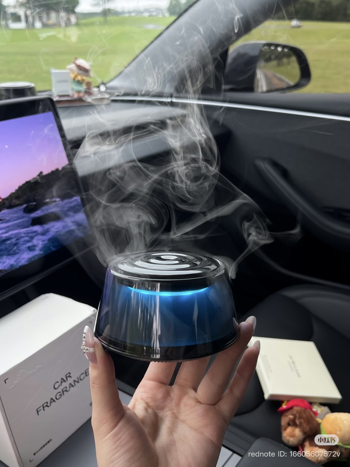 image_842170A2-A69F-4795-A064-7214C718ACCA_1769508325