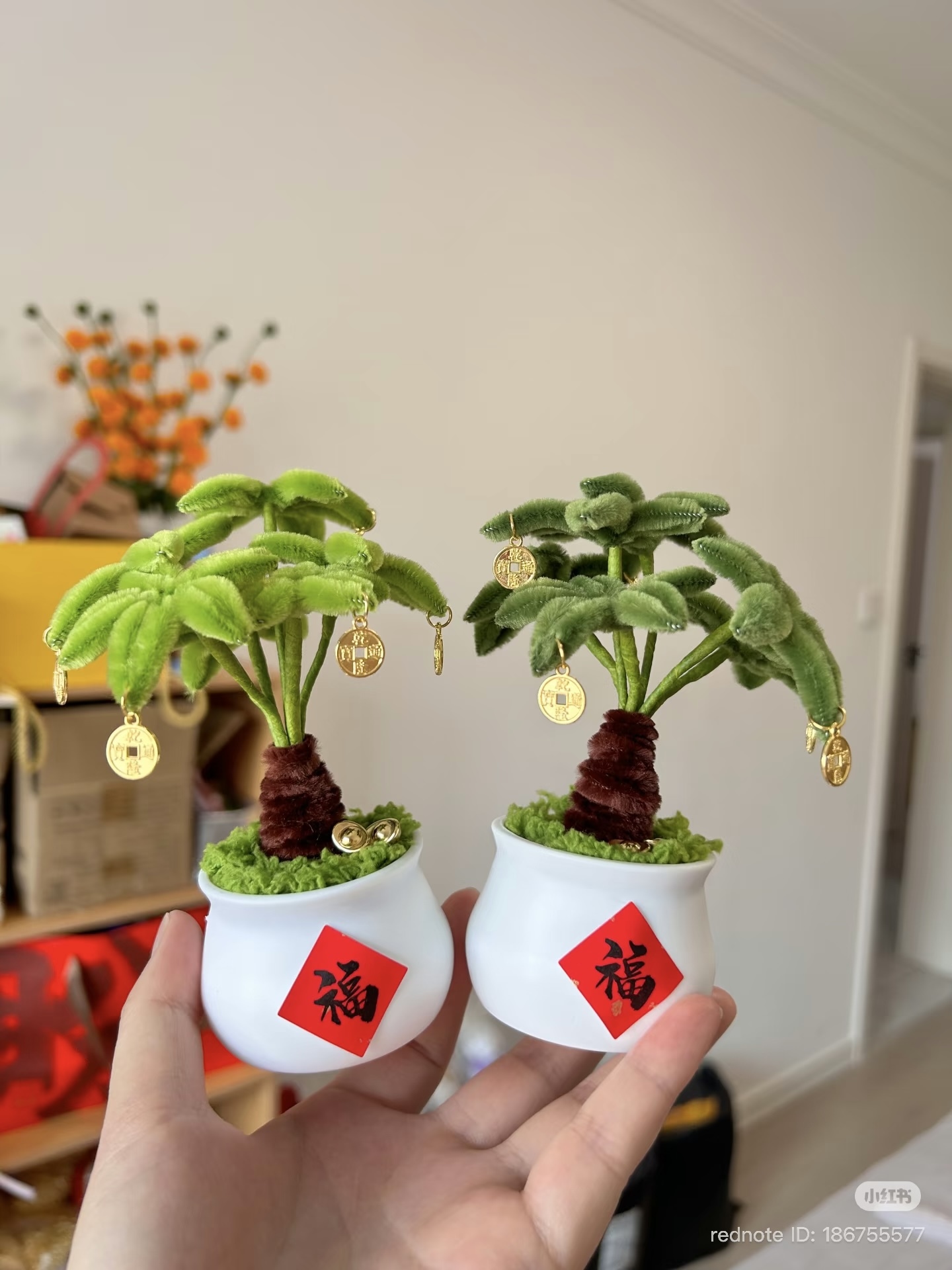 image_CF7D1418-7BD9-4166-ABE3-6268E8242BEB_1769763279