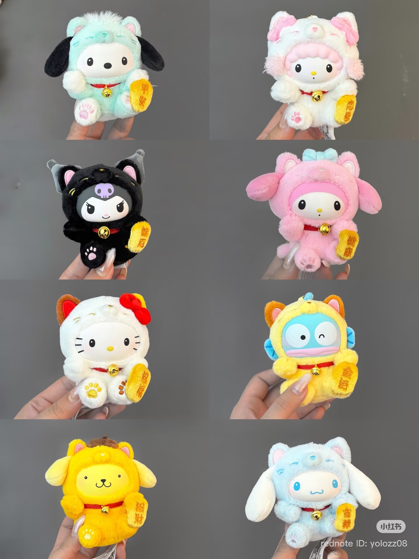 image_6788D220-B0DA-43E7-9182-190318AEE903_1769768839