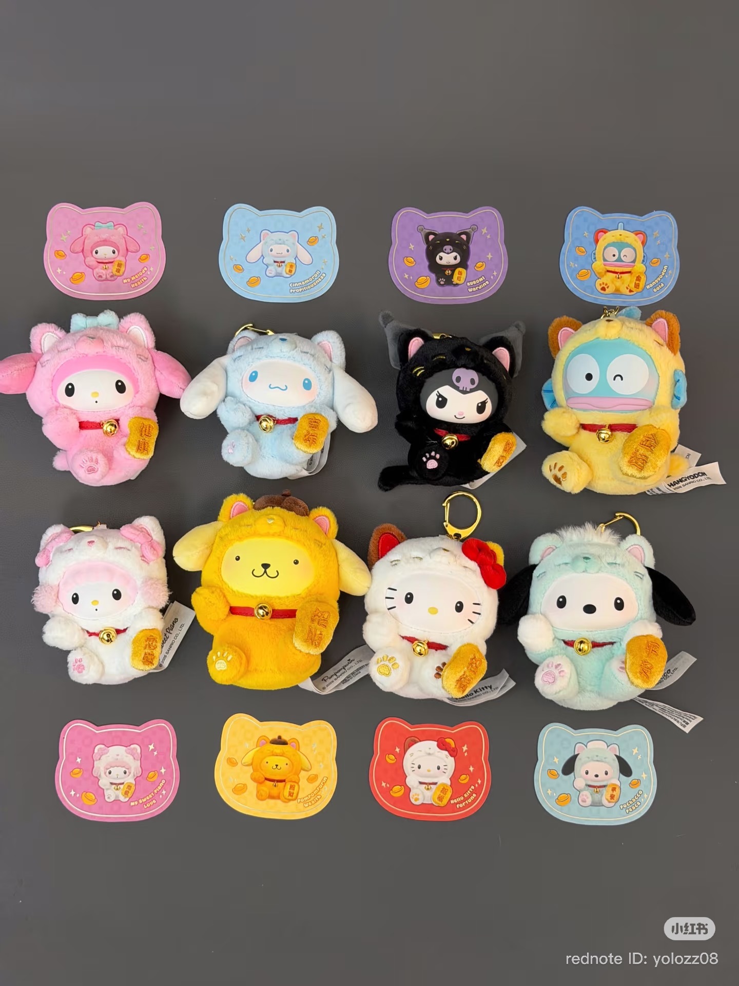 image_E9230321-5908-4498-8628-6F03169306FB_1769768840