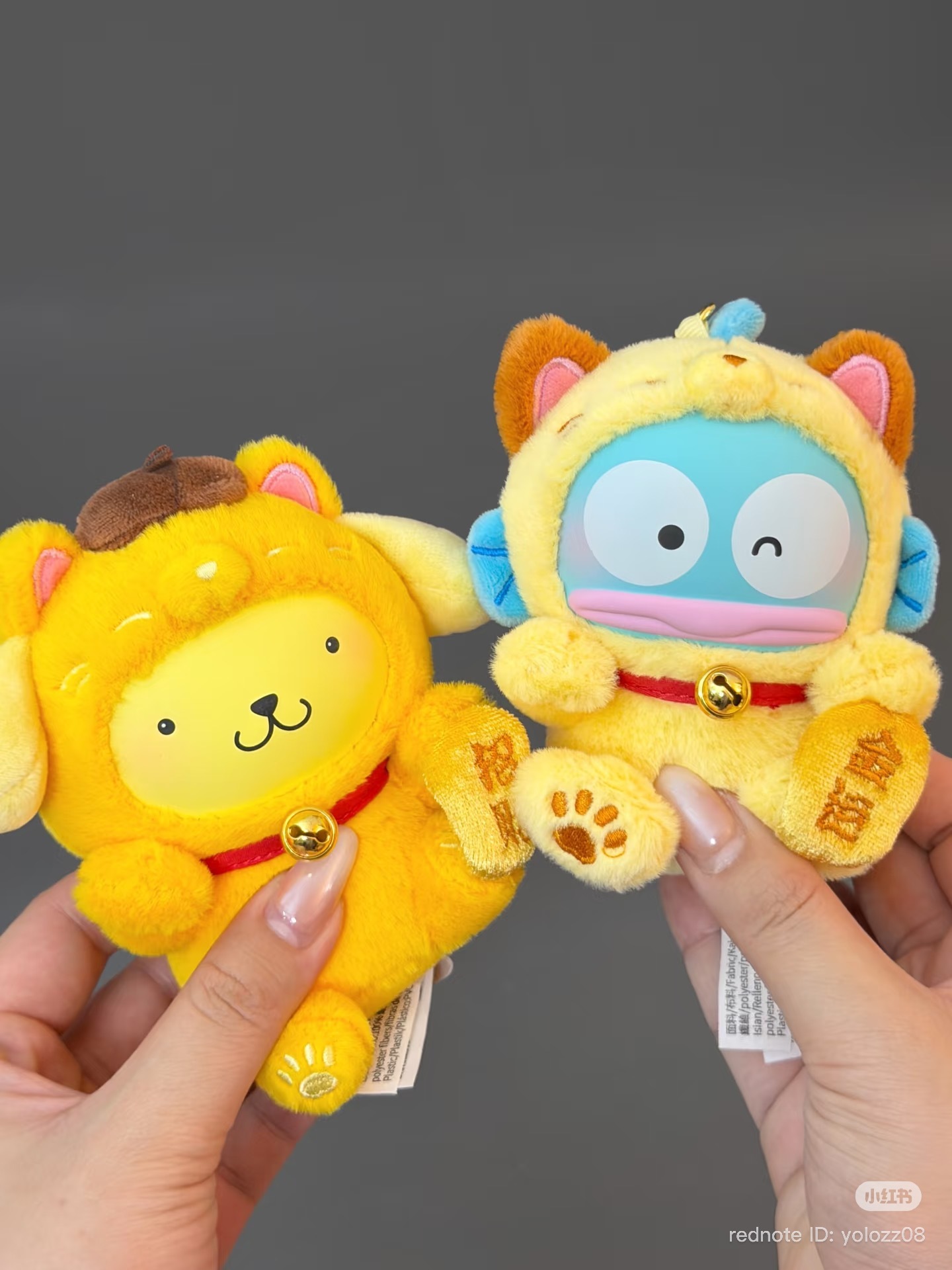 image_AD434EDB-2B84-4A64-B948-E4DF4B2684B6_1769768840