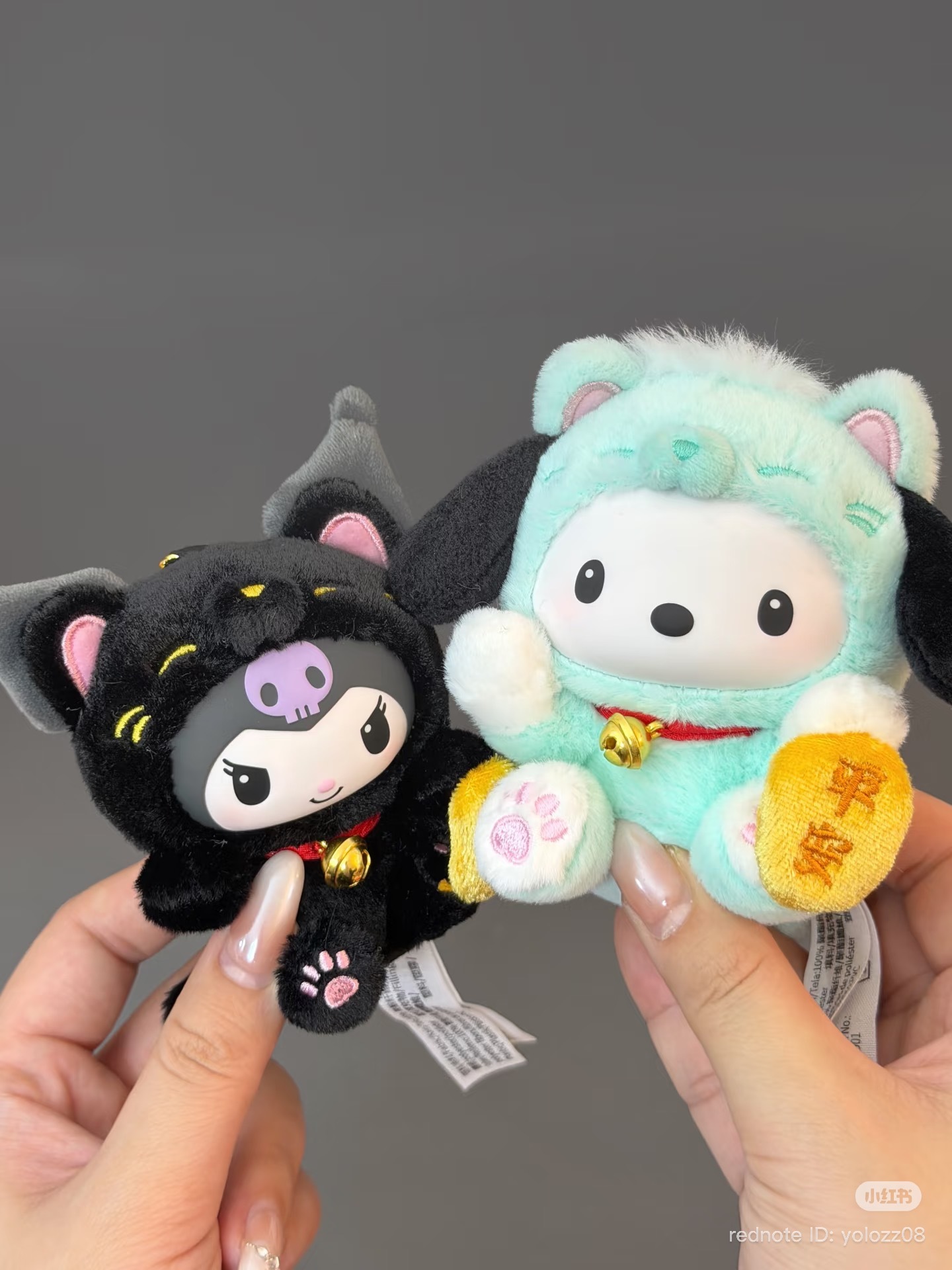 image_AFD5200C-1ABB-40C0-9EDA-AC3D6D9DE8B3_1769768840