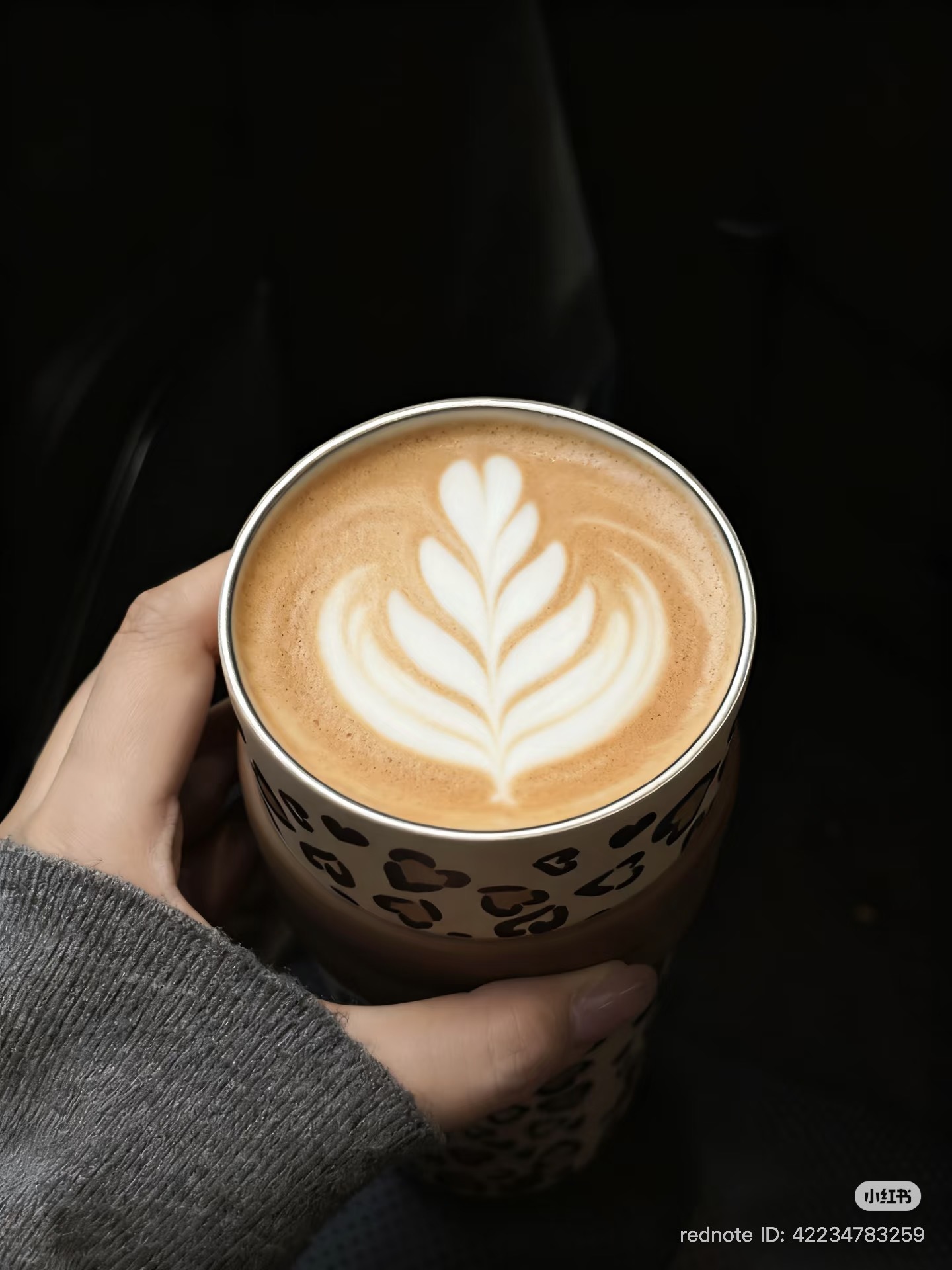 image_E0D459D7-325B-44C6-B549-421EBDF4C3E2_1770211187