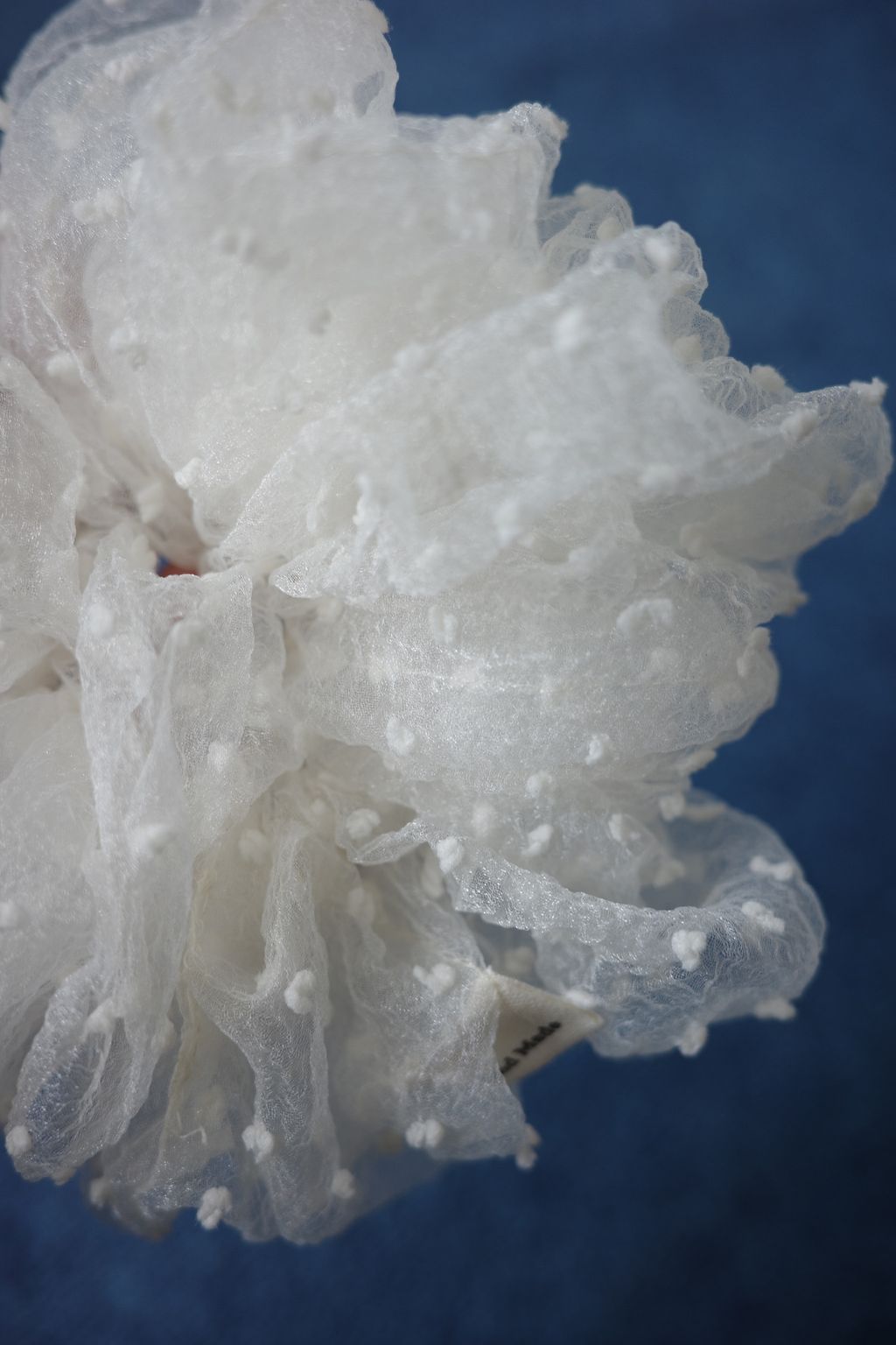 image_6DA01F33-F041-4383-B377-79EBFDA45138_1753015123