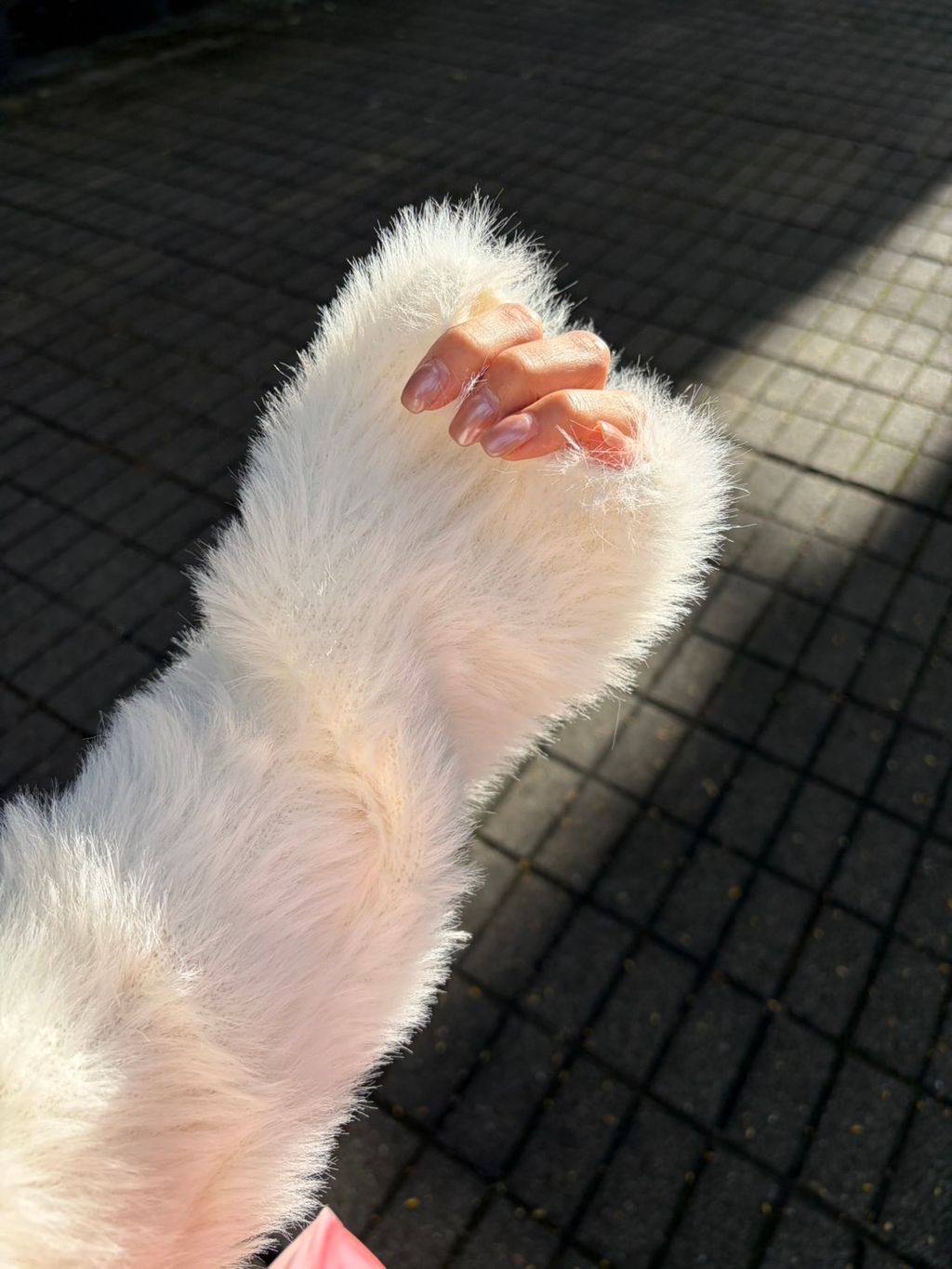 image_2B9816A0-2FF8-4EA7-9E74-844436C67B0C_1769953621