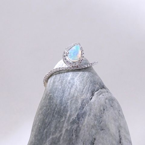RW00023S6010-1
