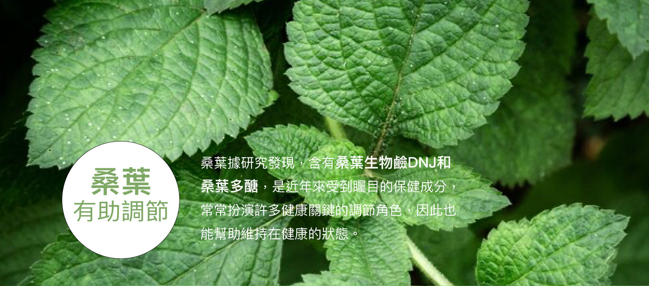 content_d813e30a-36c4-4abc-b71c-073af6248108