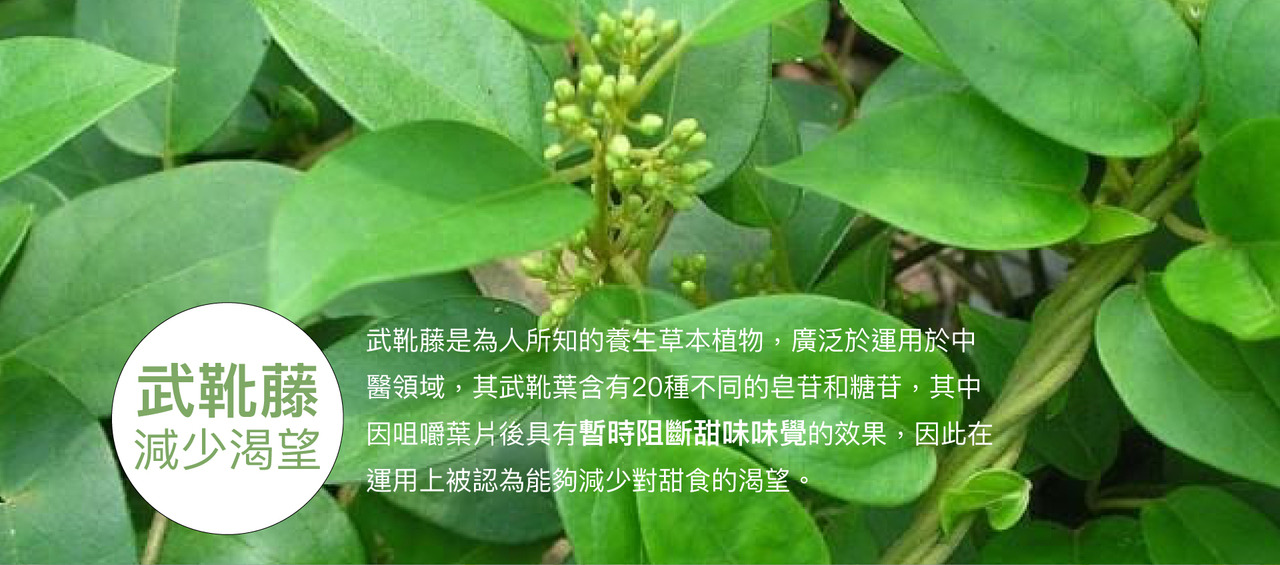 content_85aa35f5-c87a-4870-9776-437269ddd817