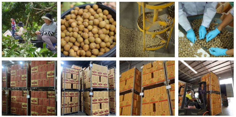 Screenshot 2025-07-28 215740