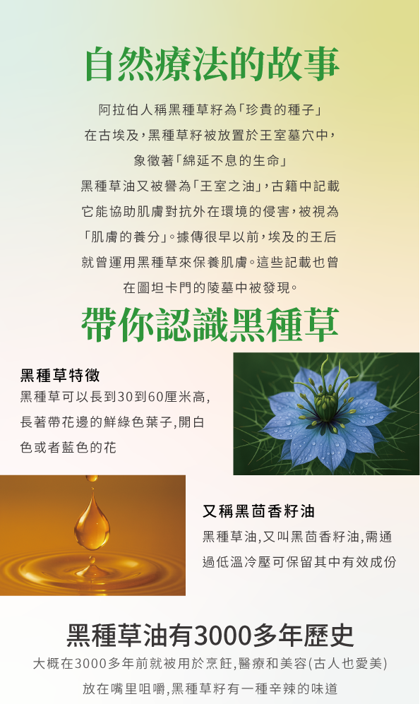 content_42986737-a42c-4199-bbf7-a0d280563b17