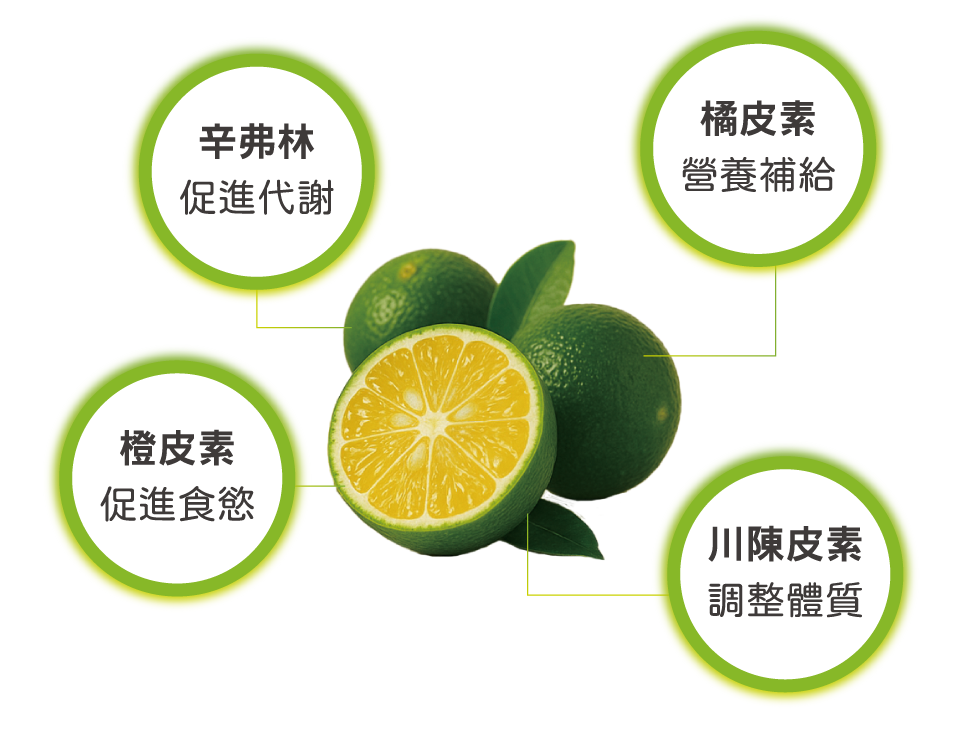 content_afe3b083-4741-4b3a-a1e9-044dac34f835