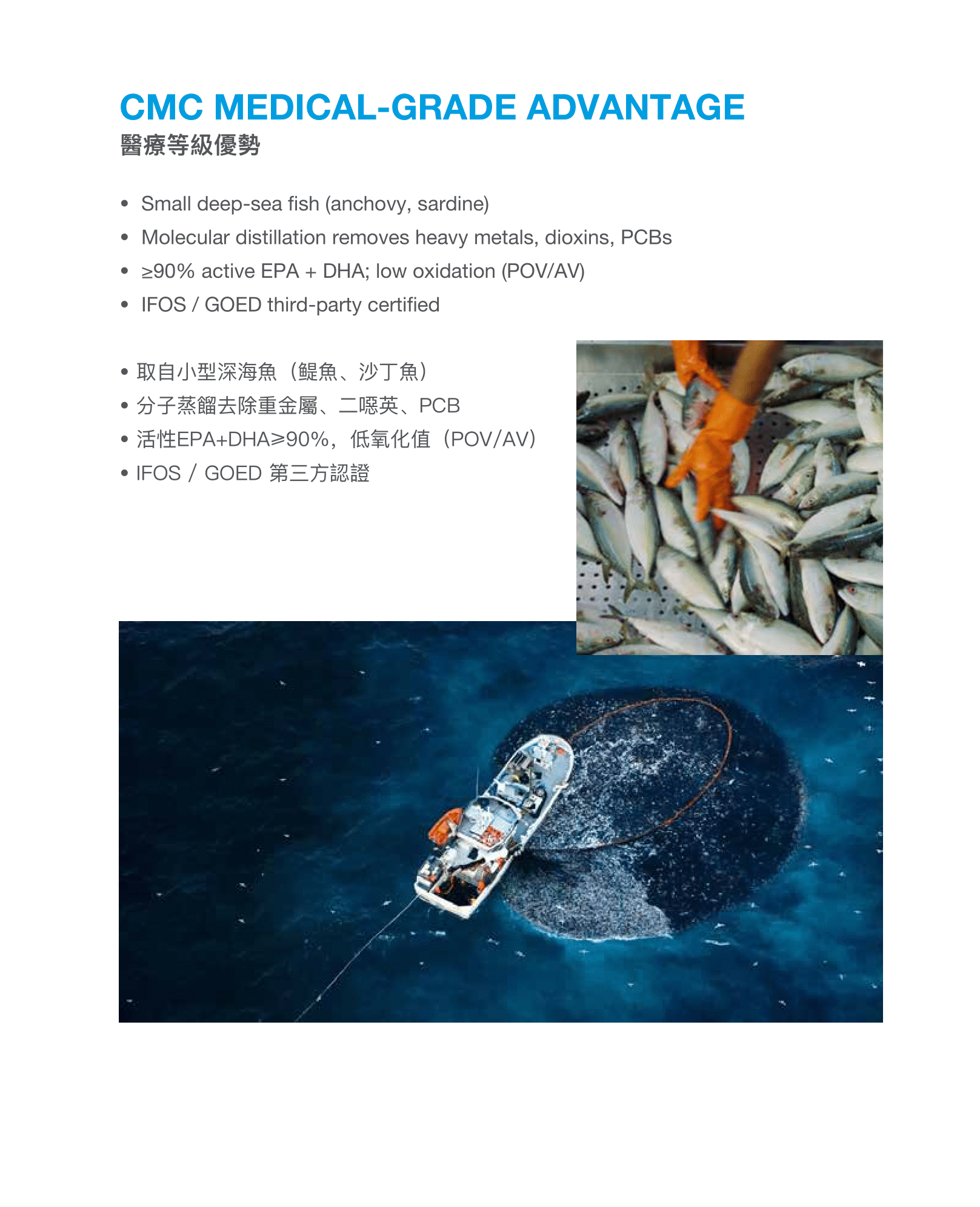 CMC鱼油小册子设计(english中文繁體)31-10-2025-04 - Copy