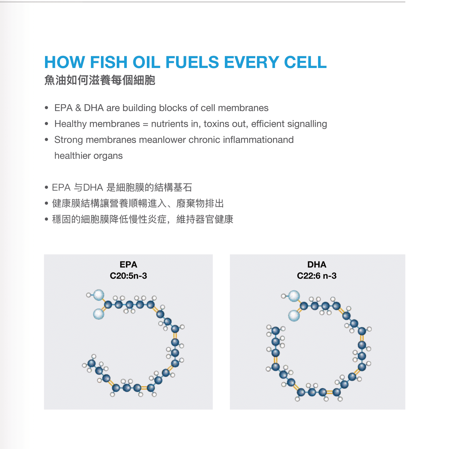CMC鱼油小册子设计(english中文繁體)31-10-2025-05 - Copy