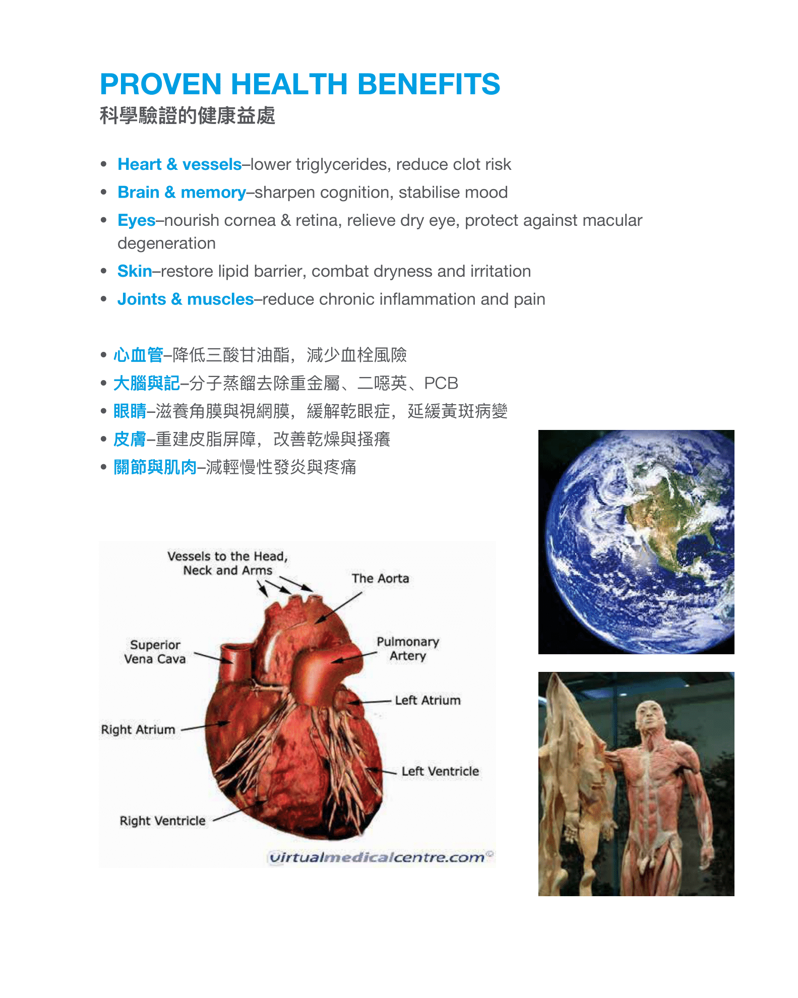 CMC鱼油小册子设计(english中文繁體)31-10-2025-06 - Copy