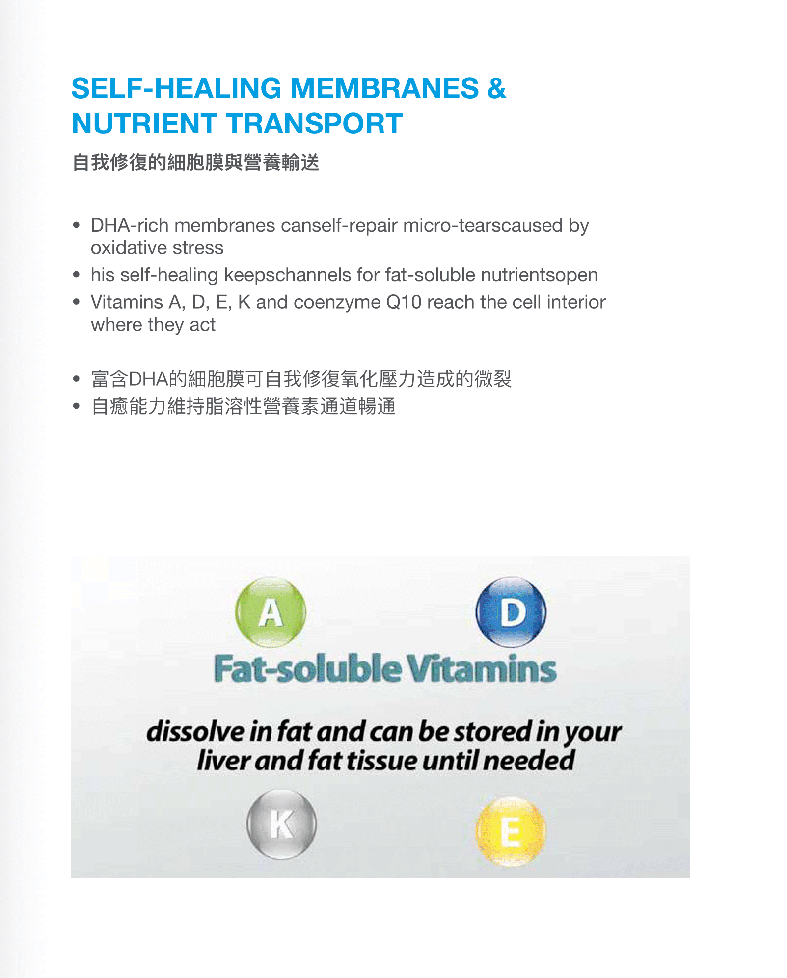 CMC鱼油小册子设计(english中文繁體)31-10-2025-122