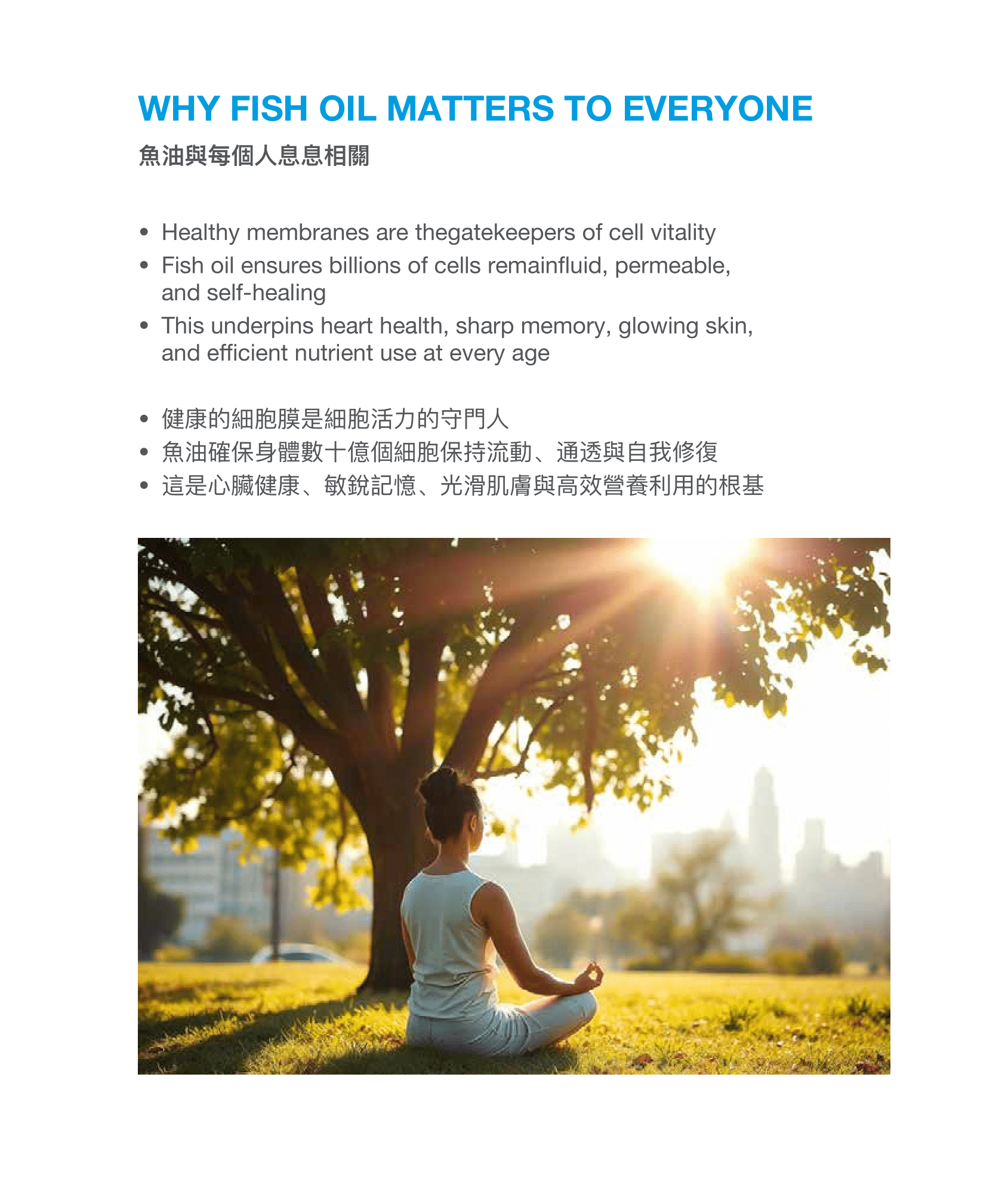 CMC鱼油小册子设计(english中文繁體)31-10-2025-13