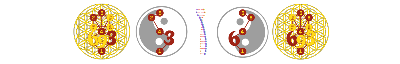 6847e6402b785d21414d3486