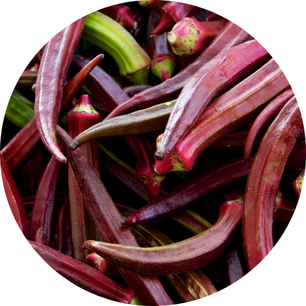 purple-okra