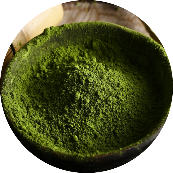 matcha