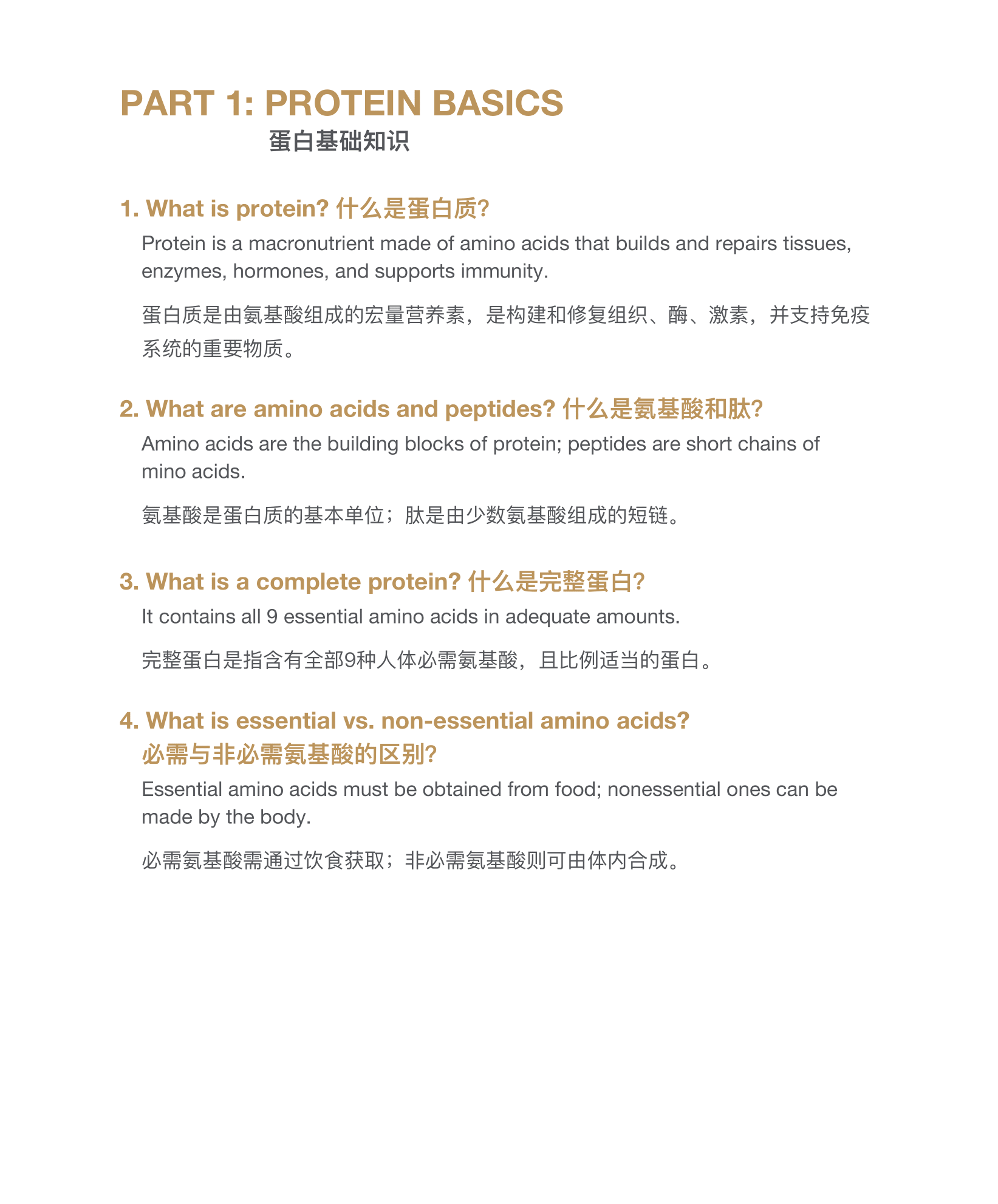 CMC Soy Protein小册子设计(english_中文)4-10-2025-03