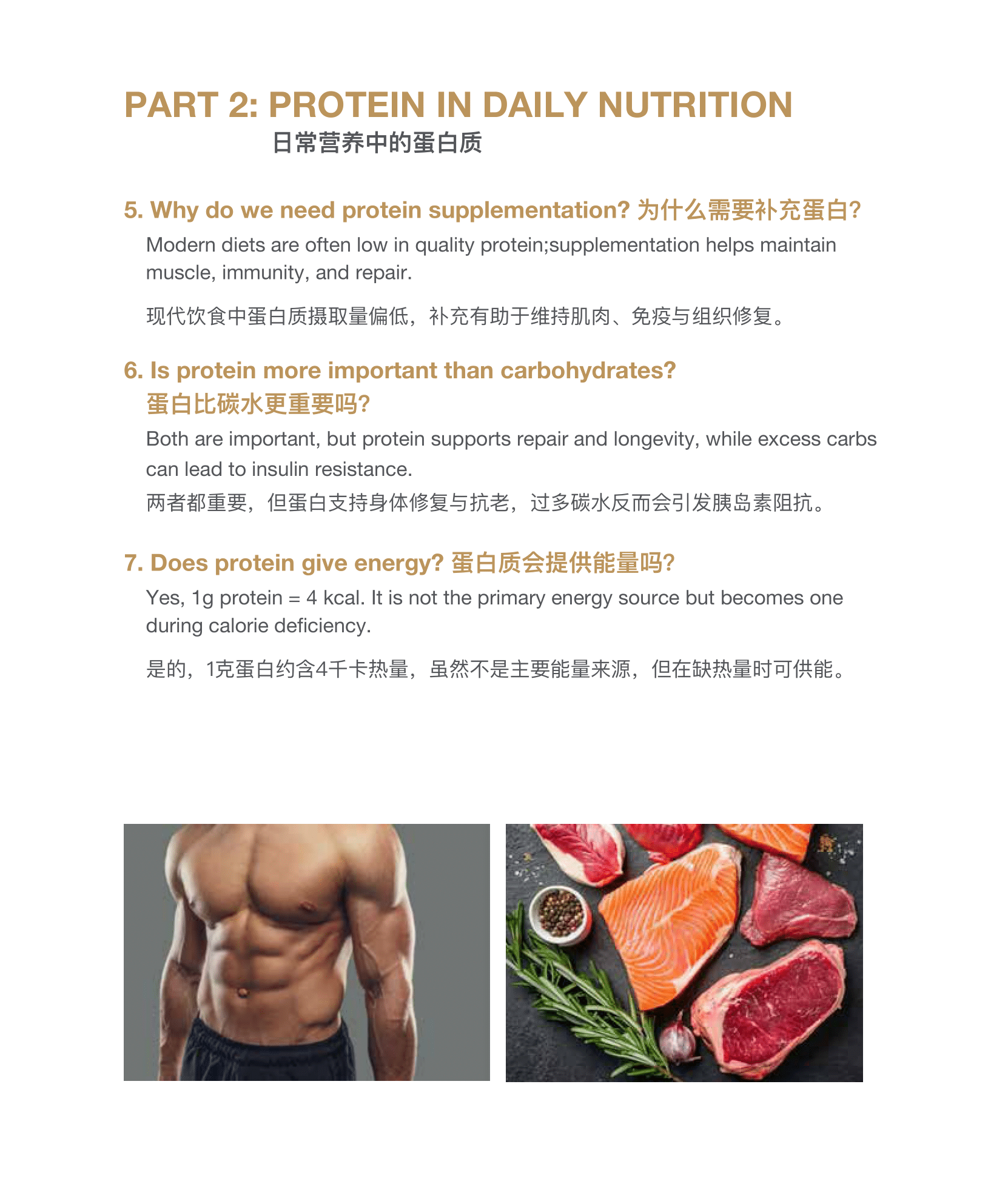 CMC Soy Protein小册子设计(english_中文)4-10-2025-03 - Copy