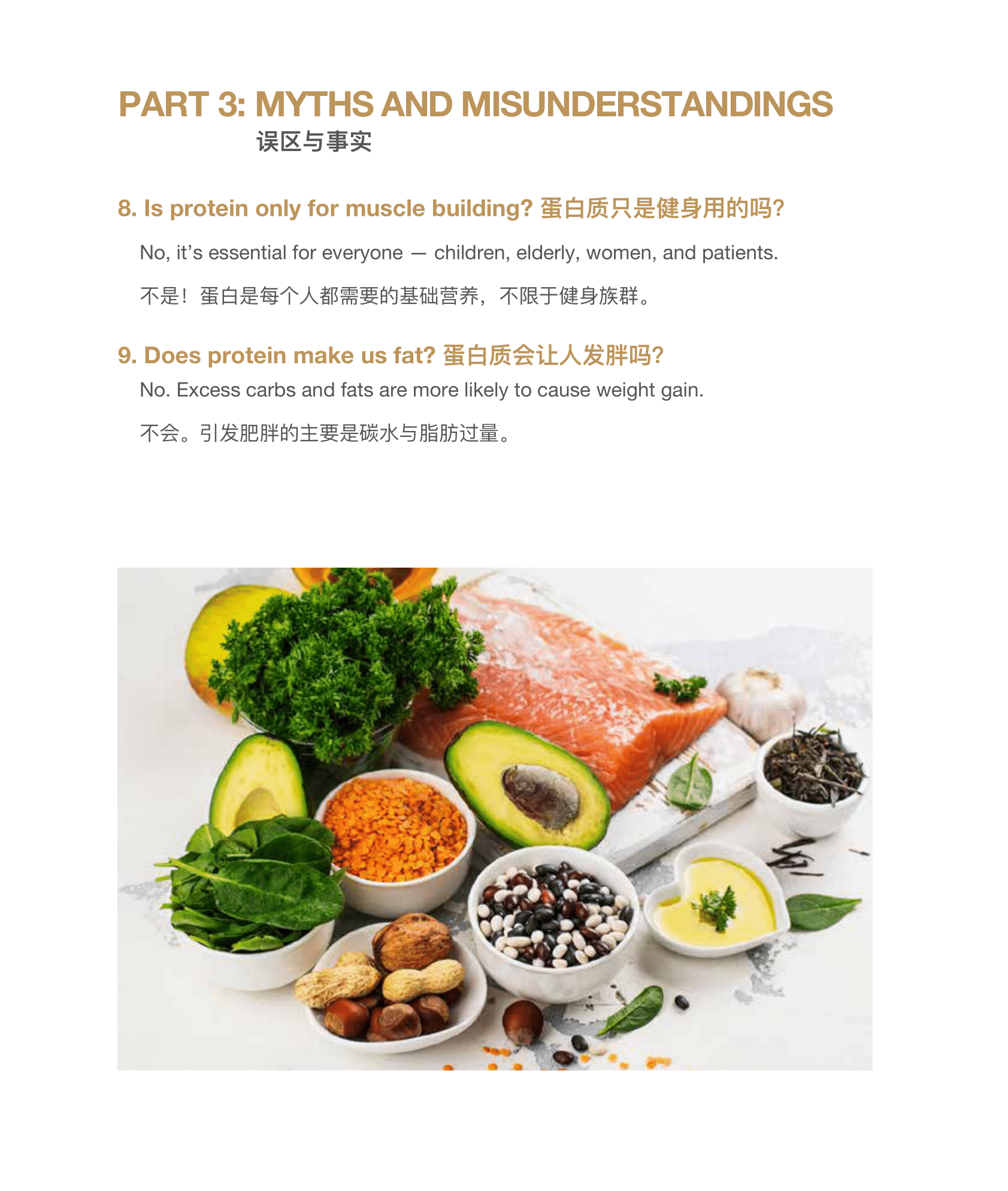 CMC Soy Protein小册子设计(english_中文)4-10-2025-04 - Copy
