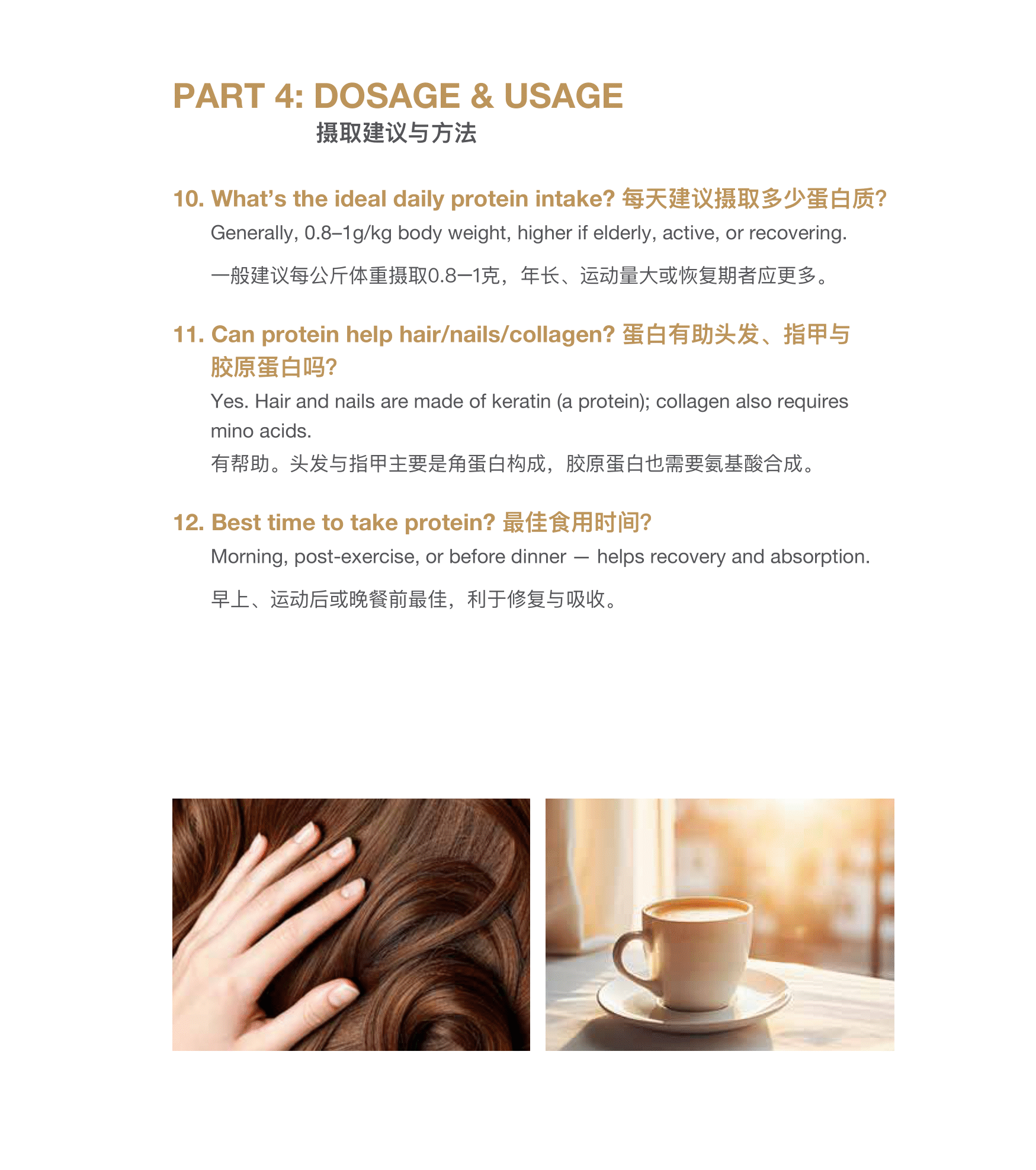 CMC Soy Protein小册子设计(english_中文)4-10-2025-04