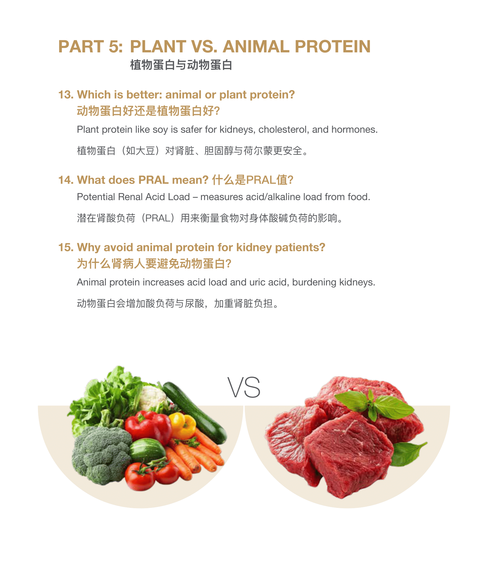 CMC Soy Protein小册子设计(english_中文)4-10-2025-05 - Copy