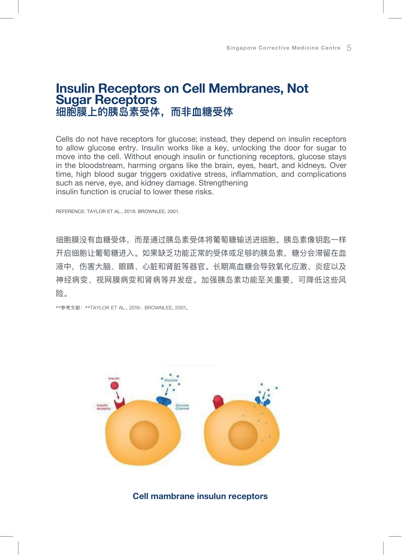 CMC逆转糖尿病A5小册子设计(english繁體中文)6-1-2026-05