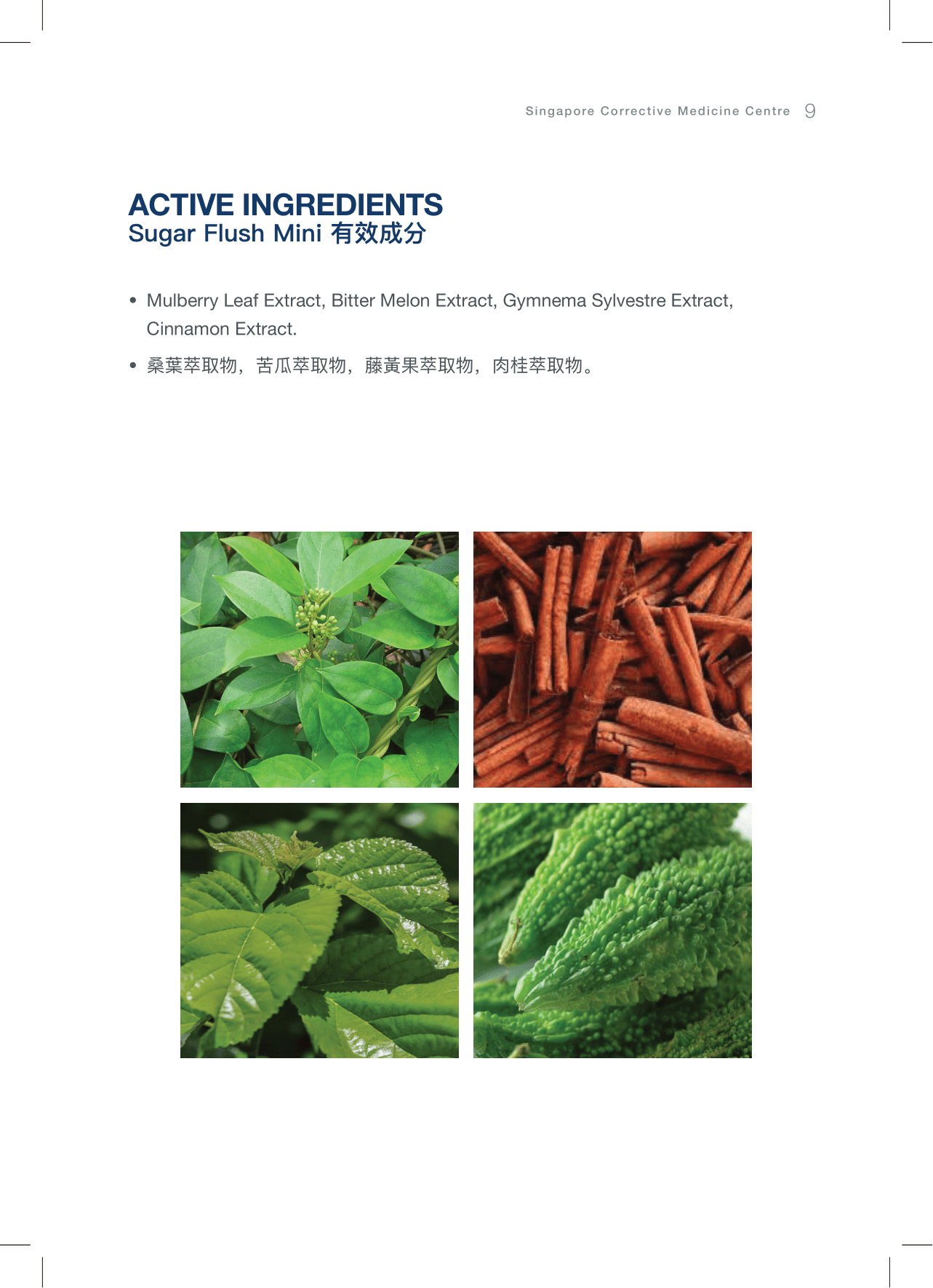 CMC逆转糖尿病A5小册子设计(english繁體中文)6-1-2026-09