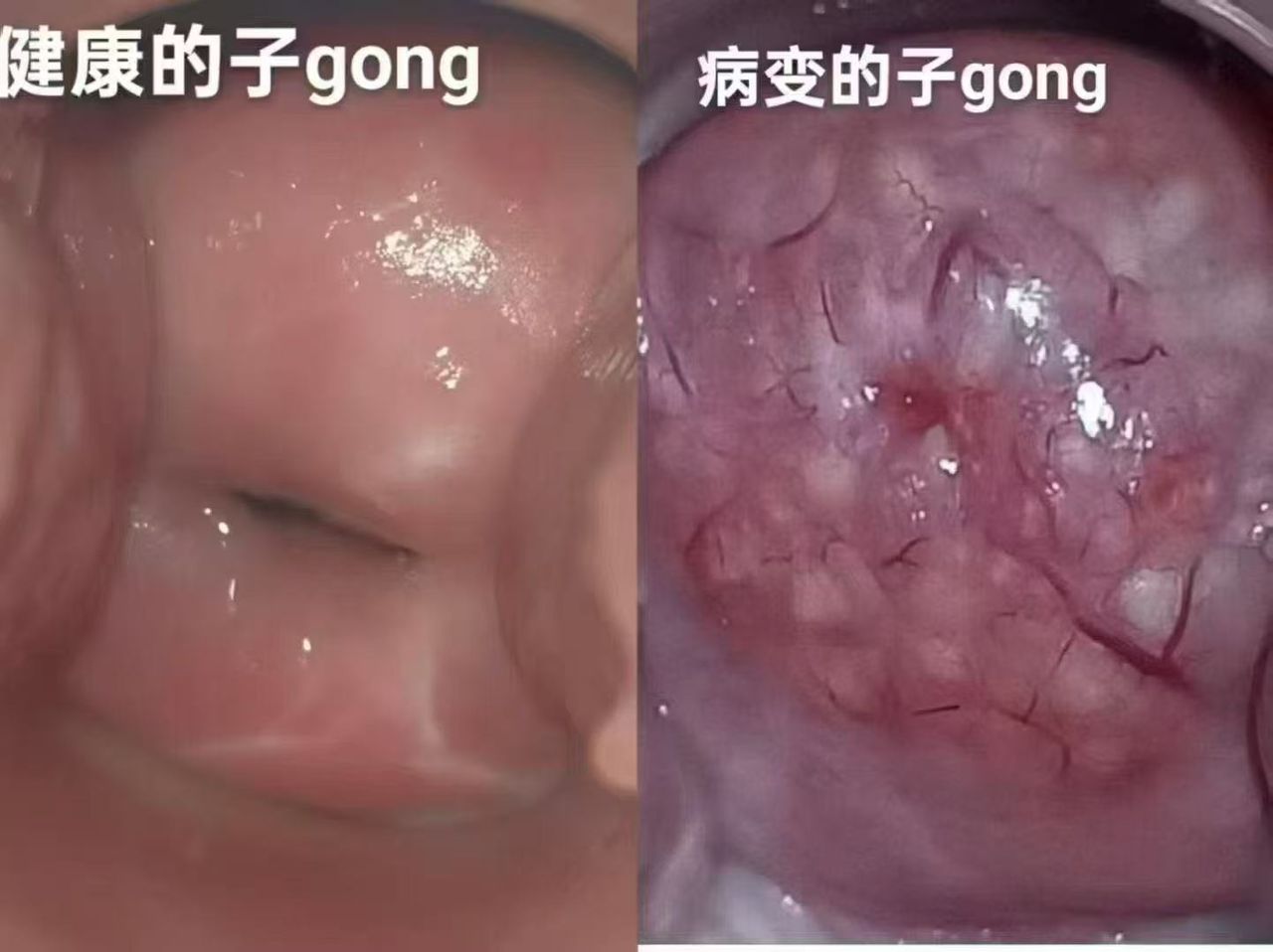 WhatsApp Image 2026-03-11 at 8.50.54 PM (1)