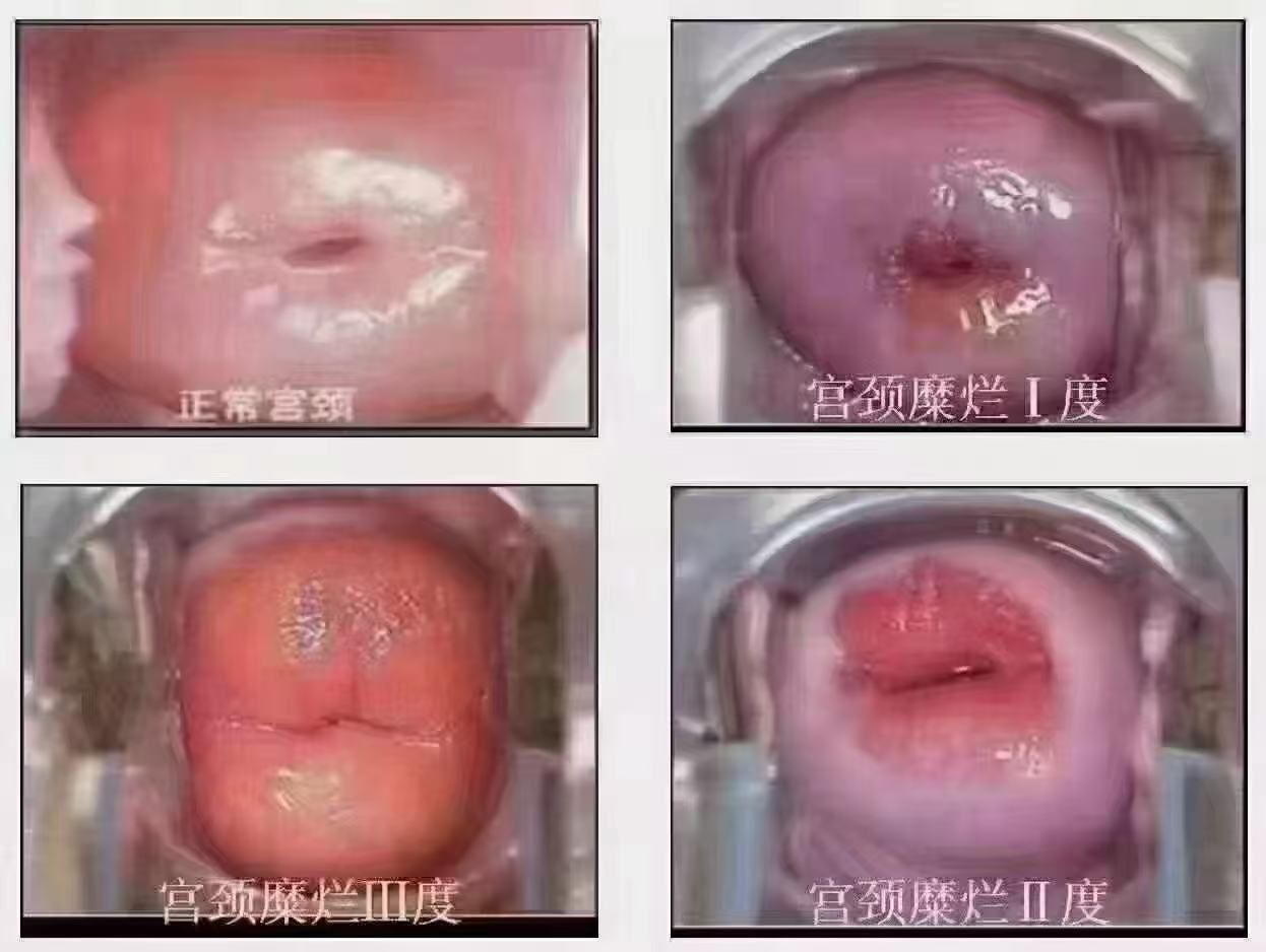 WhatsApp Image 2026-03-11 at 8.50.54 PM