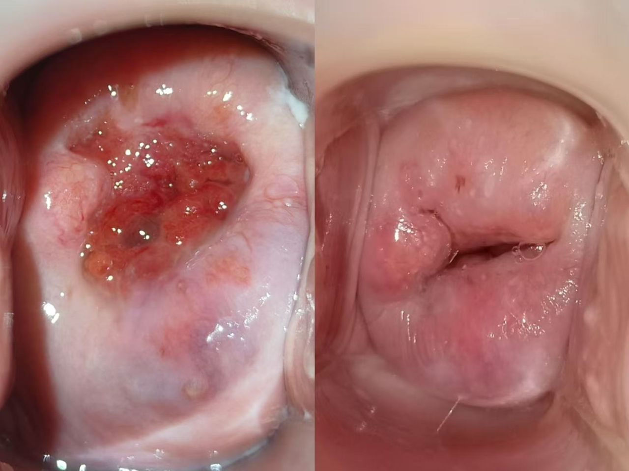 WhatsApp Image 2026-03-11 at 8.50.26 PM