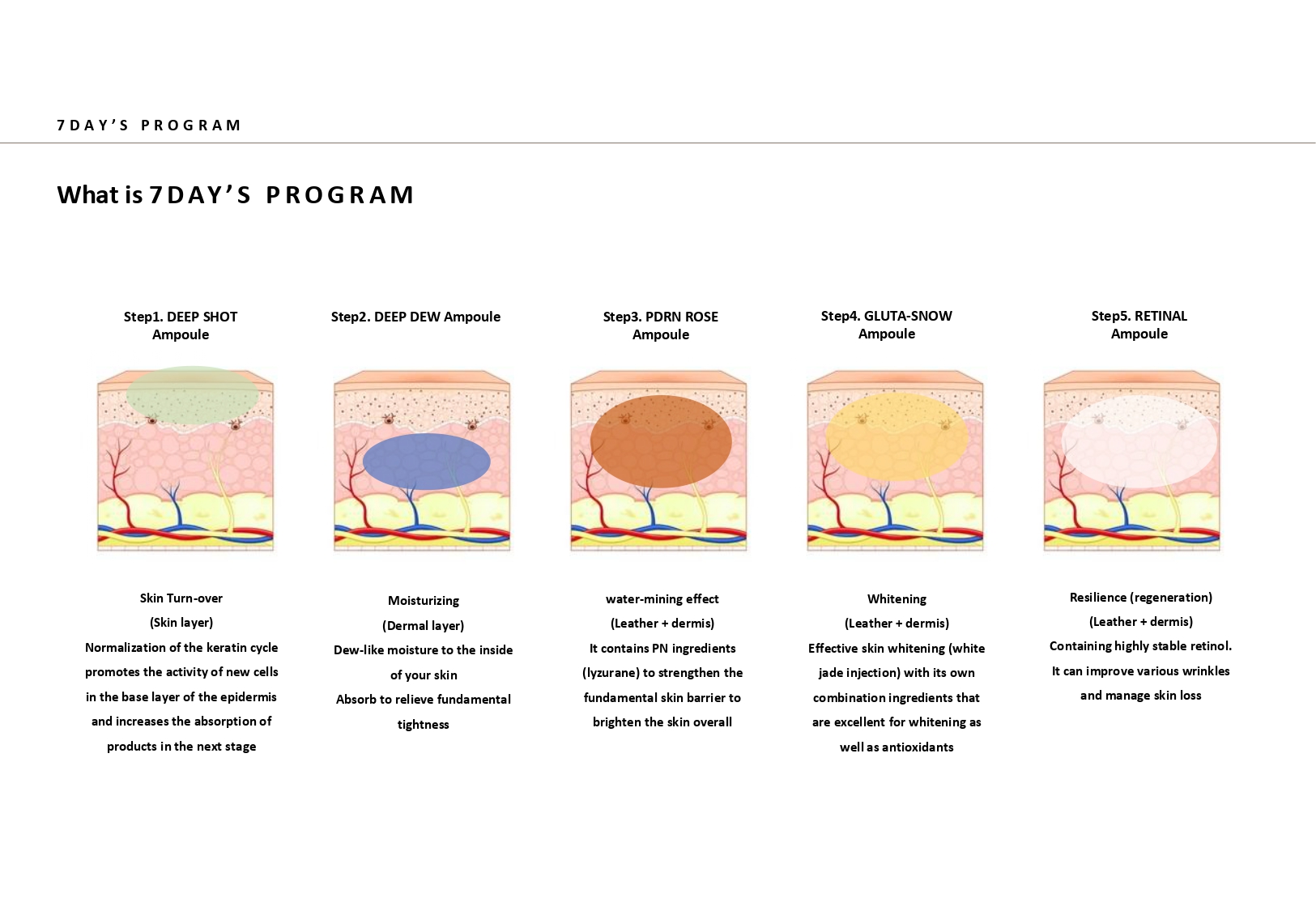 Cellune 7DAY'S PROGRAM(EN)_page-0003