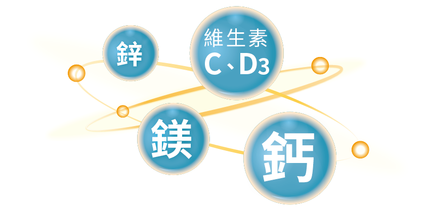 content_ade161c1-1f82-471e-a1e9-1e1b3380c386