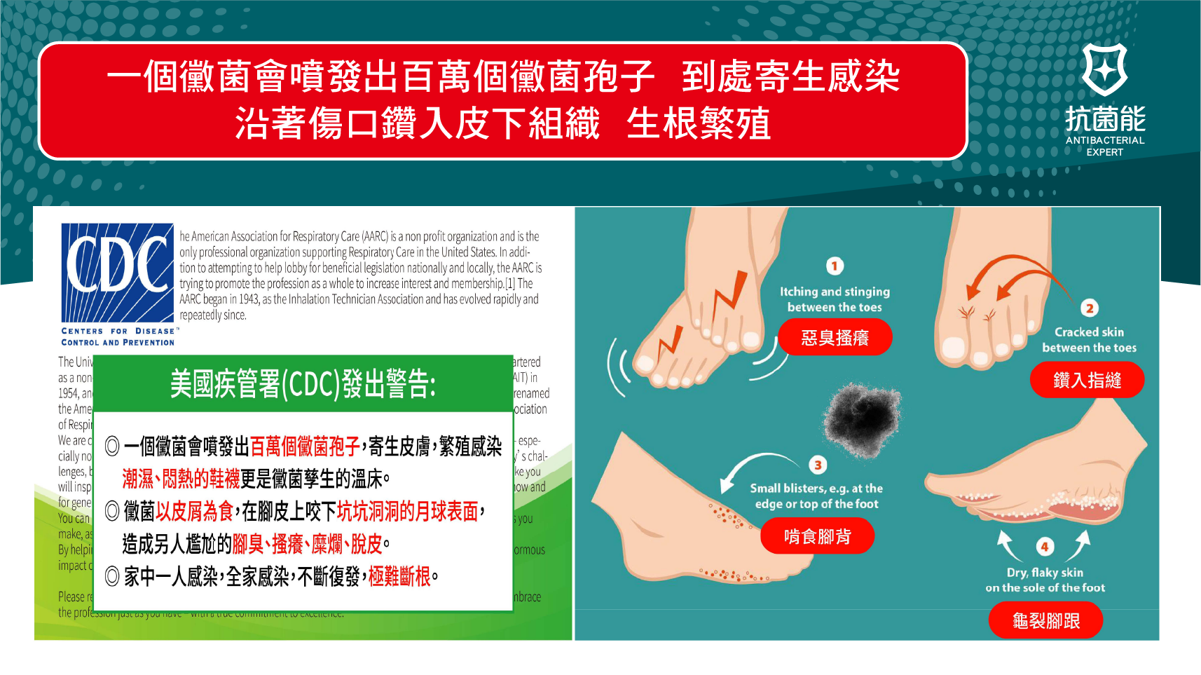 UC-PRO_字卡(無肖像)_工作區域 1 複本 2