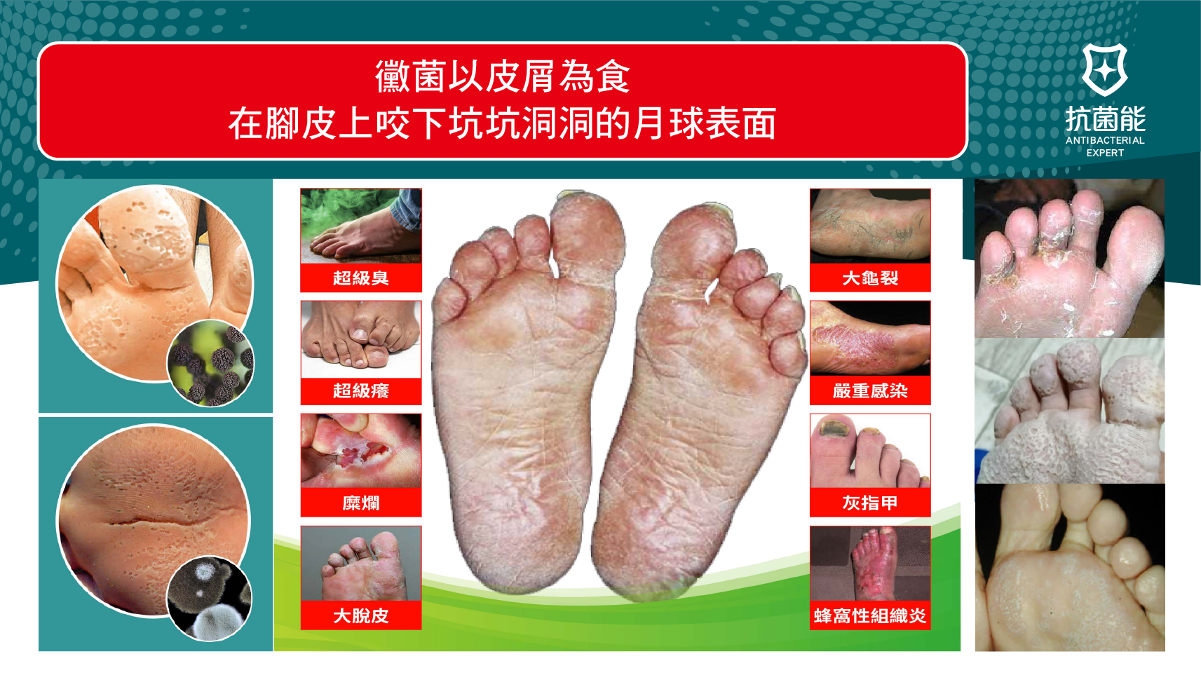 UC-PRO_字卡(無肖像)_工作區域 1 複本 3