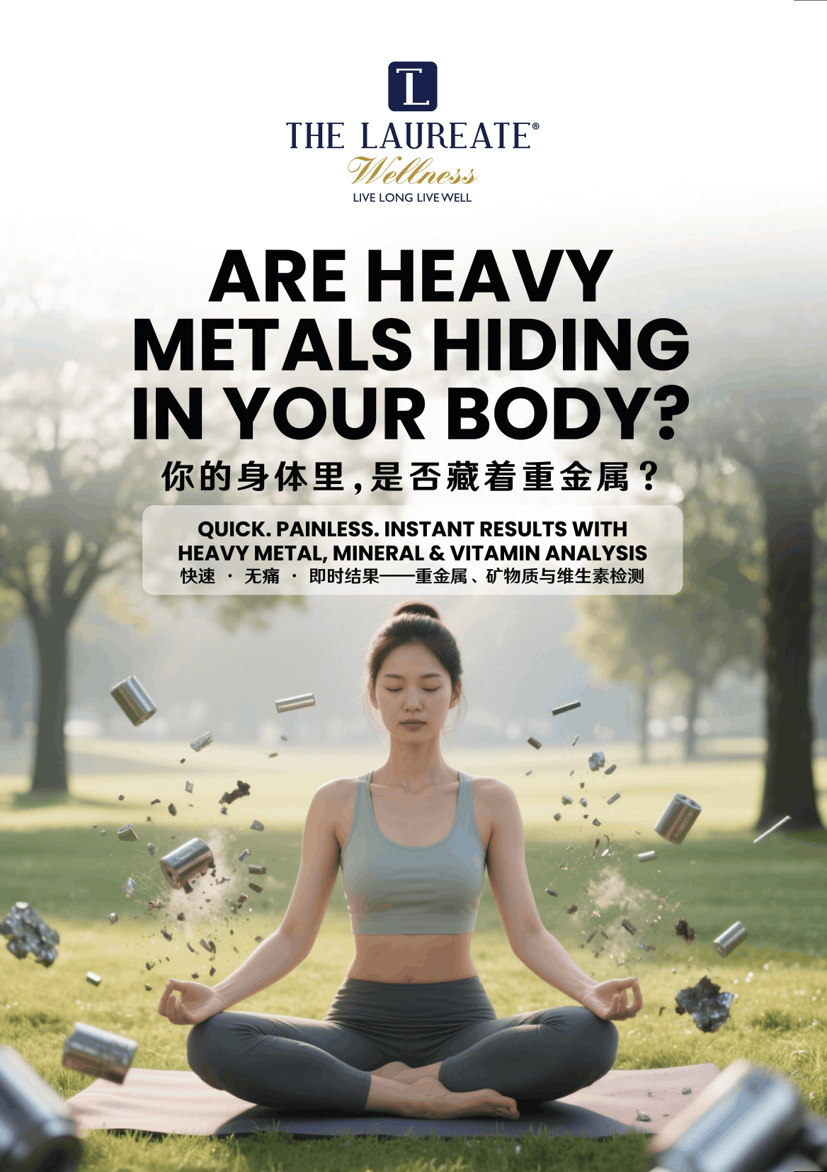 Are Heavy Metal Hiding In Your Body-EN CN-1