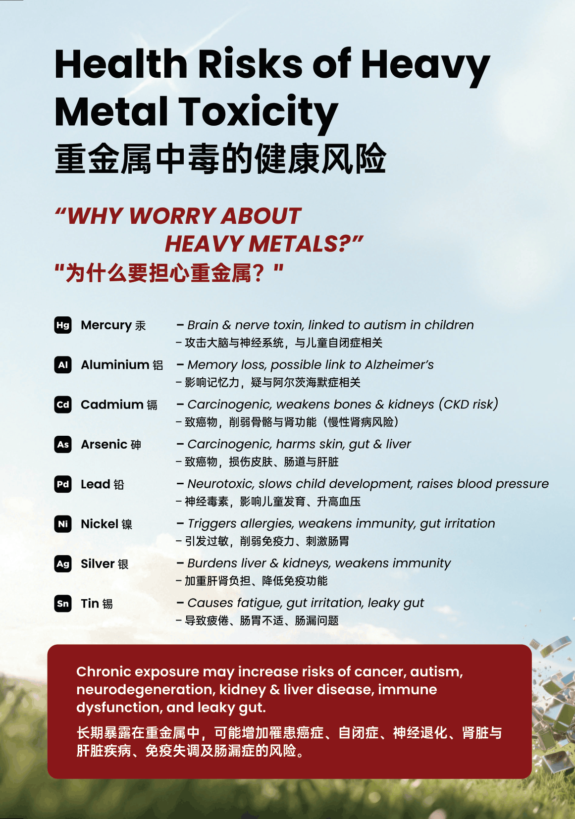 Are Heavy Metal Hiding In Your Body-EN CN-2