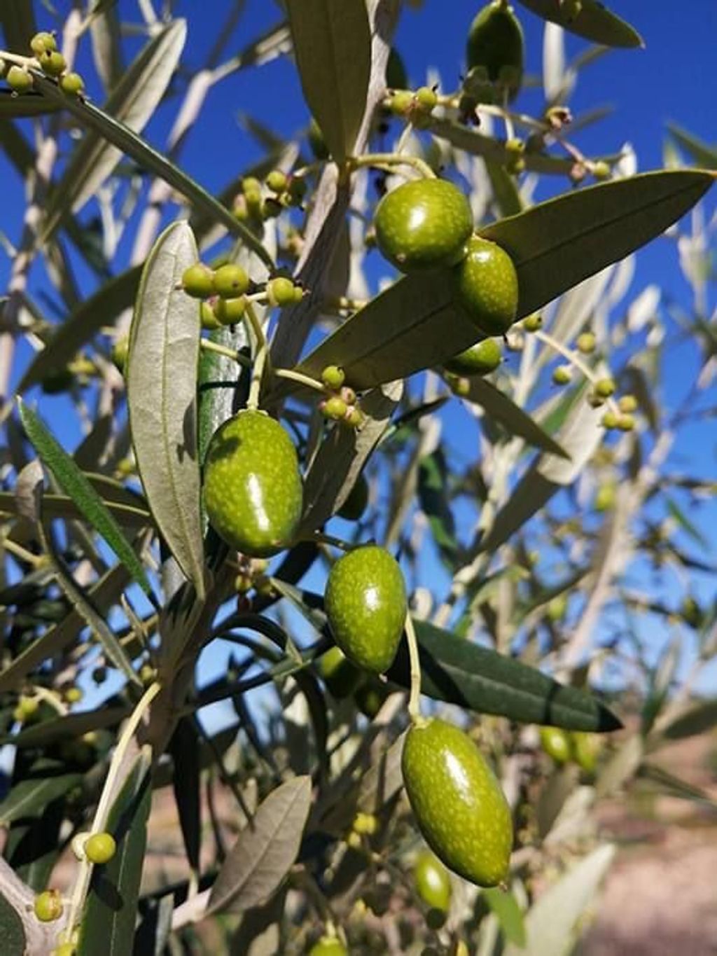 PHOTO-2024-05-27-16-08-40