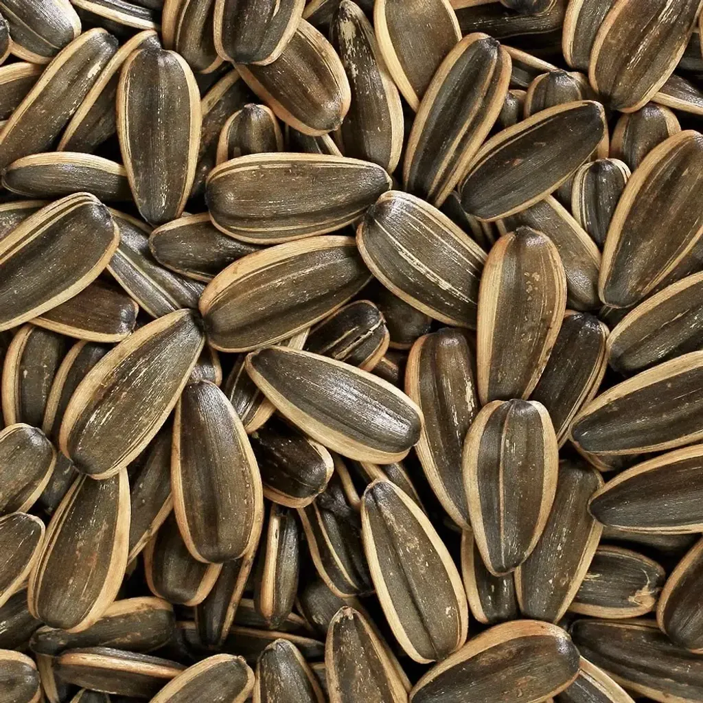 da8d23d3528aa3c47d7e71fe230b58ae