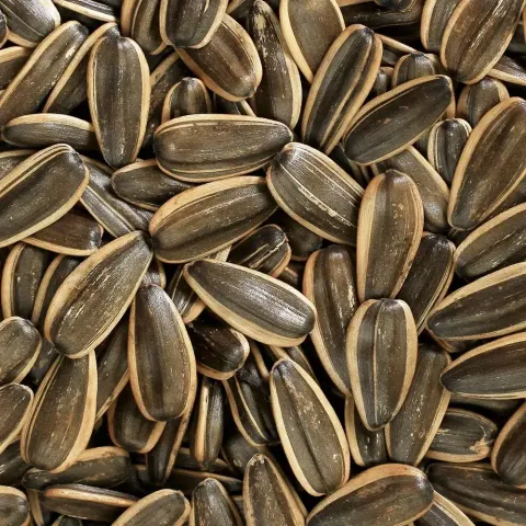 da8d23d3528aa3c47d7e71fe230b58ae